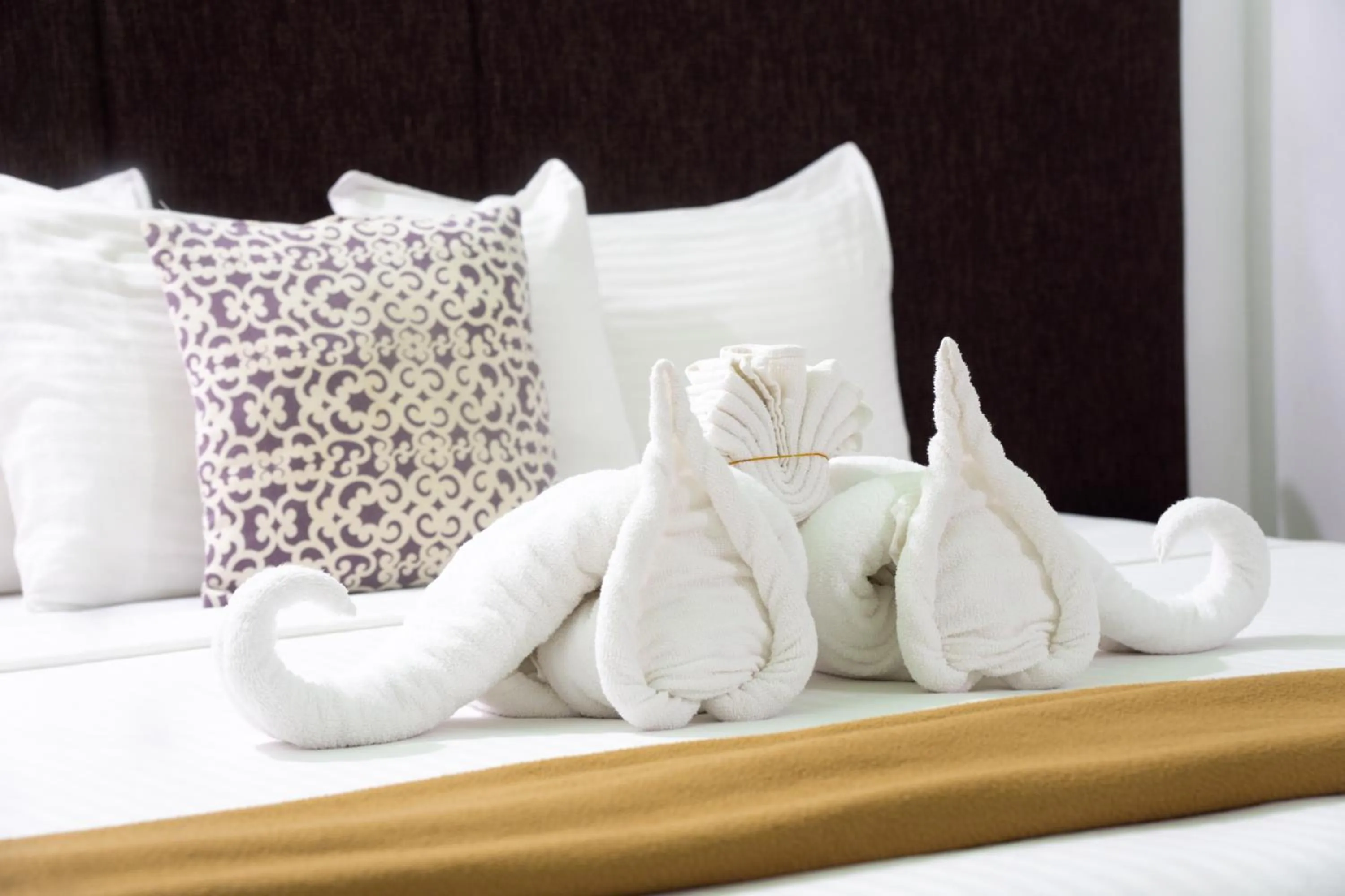 Bed in The Park House