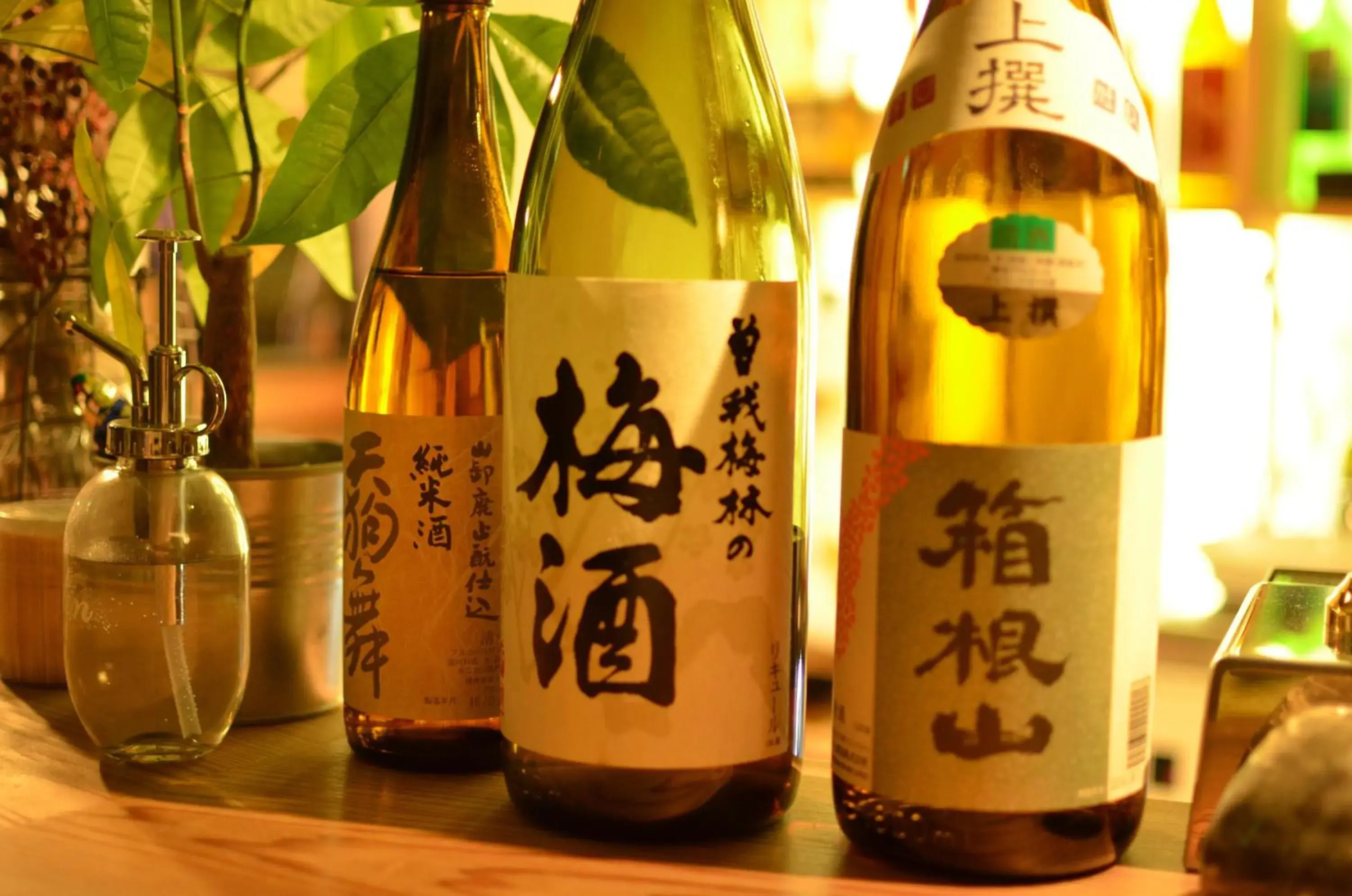 Lounge or bar in GuestHouse Azito Lounge or bar in GuestHouse Azito