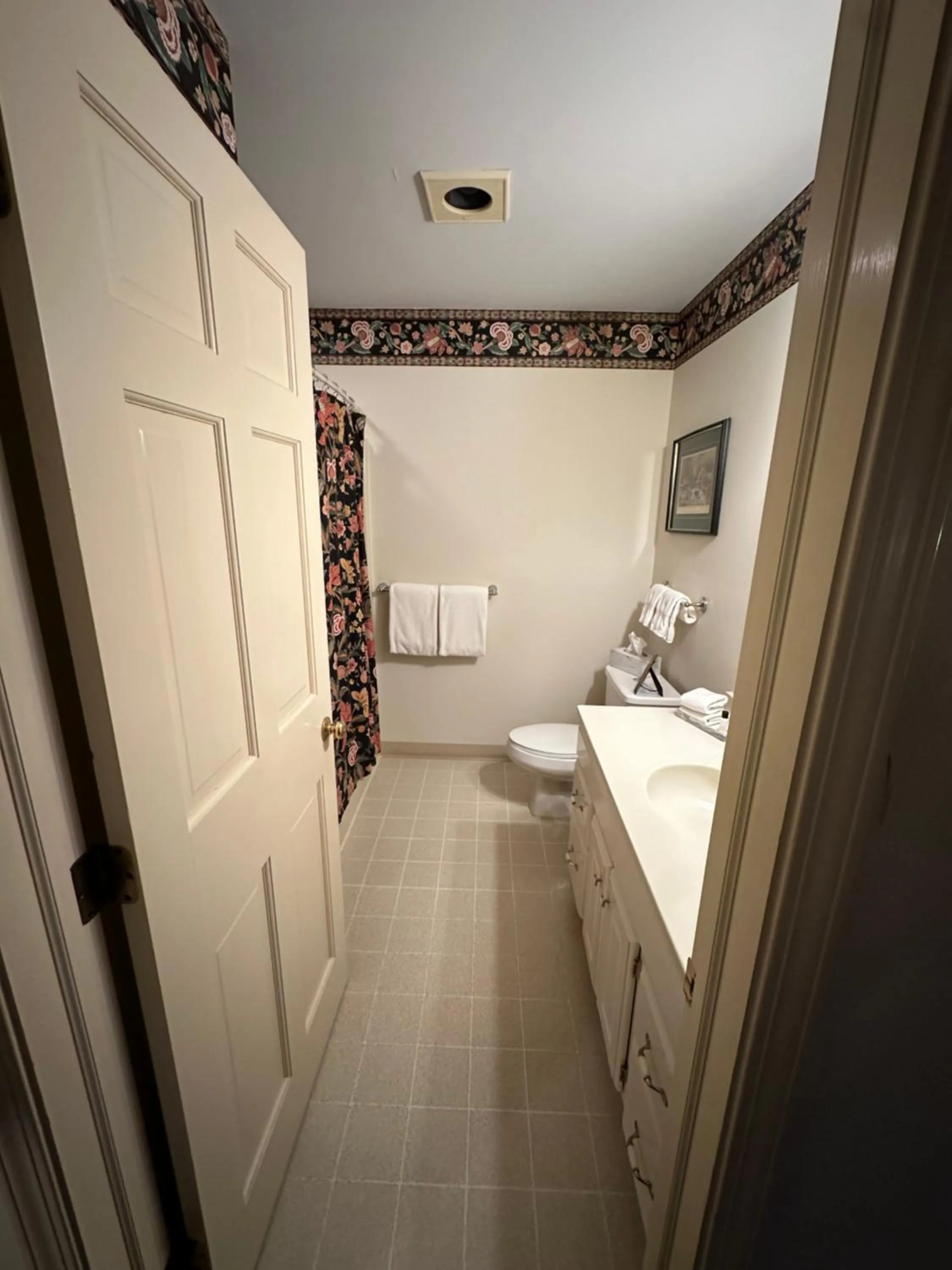 Bathroom in Asa Ransom House