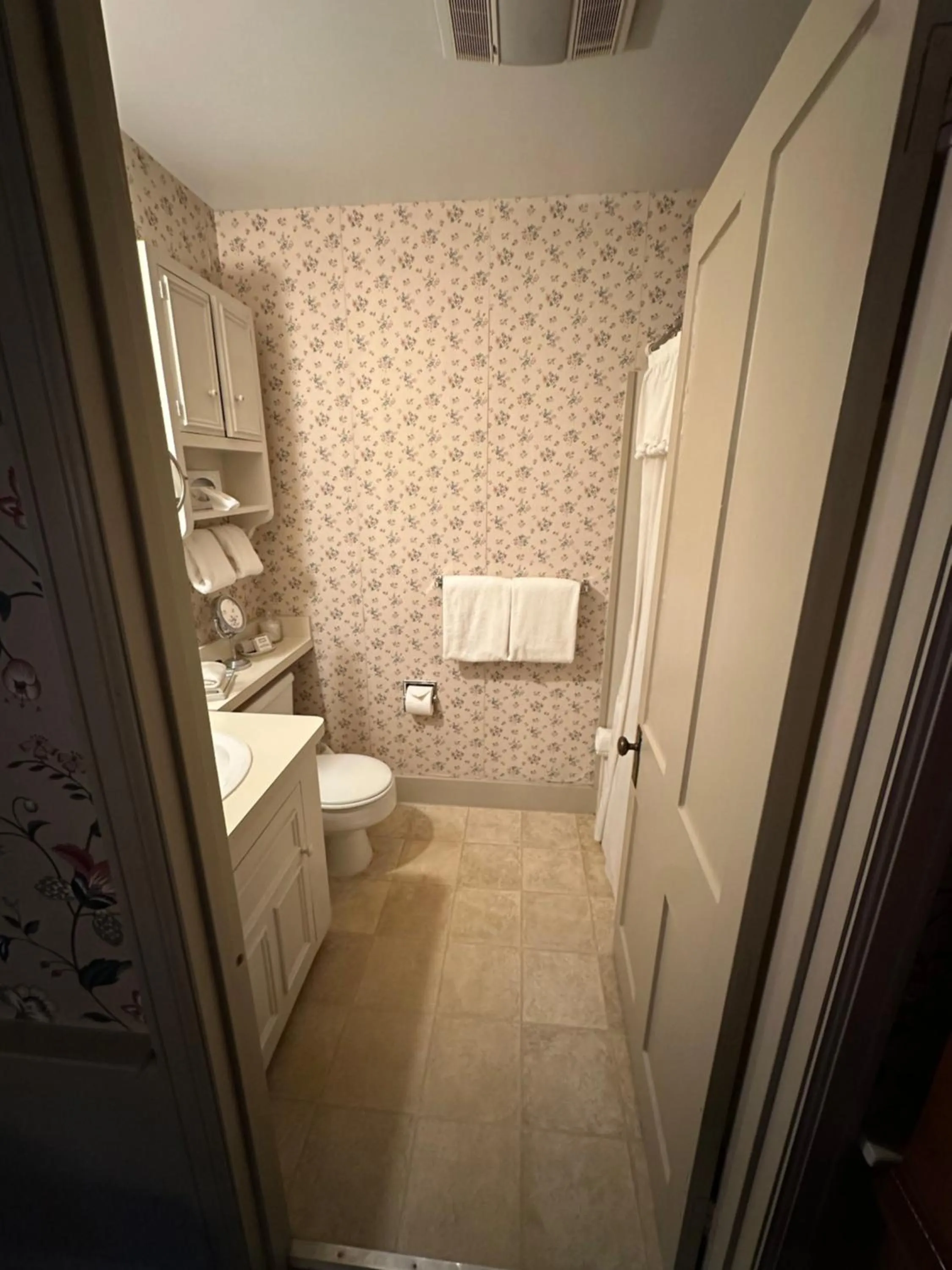 Bathroom in Asa Ransom House