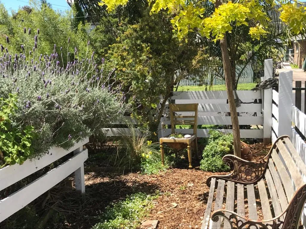 Garden view in Sea Salt Bnb