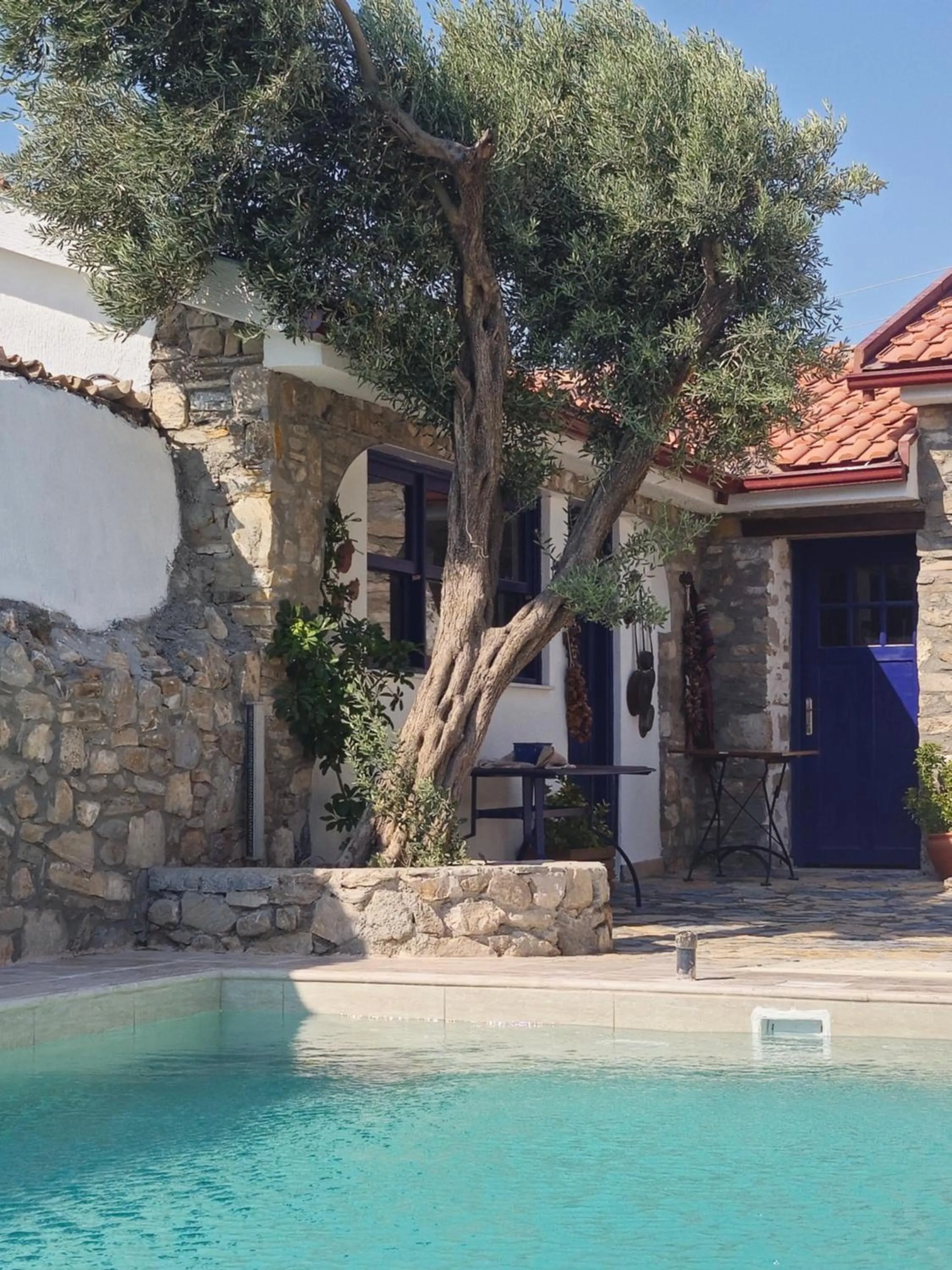 Swimming pool in Bahab Guest House