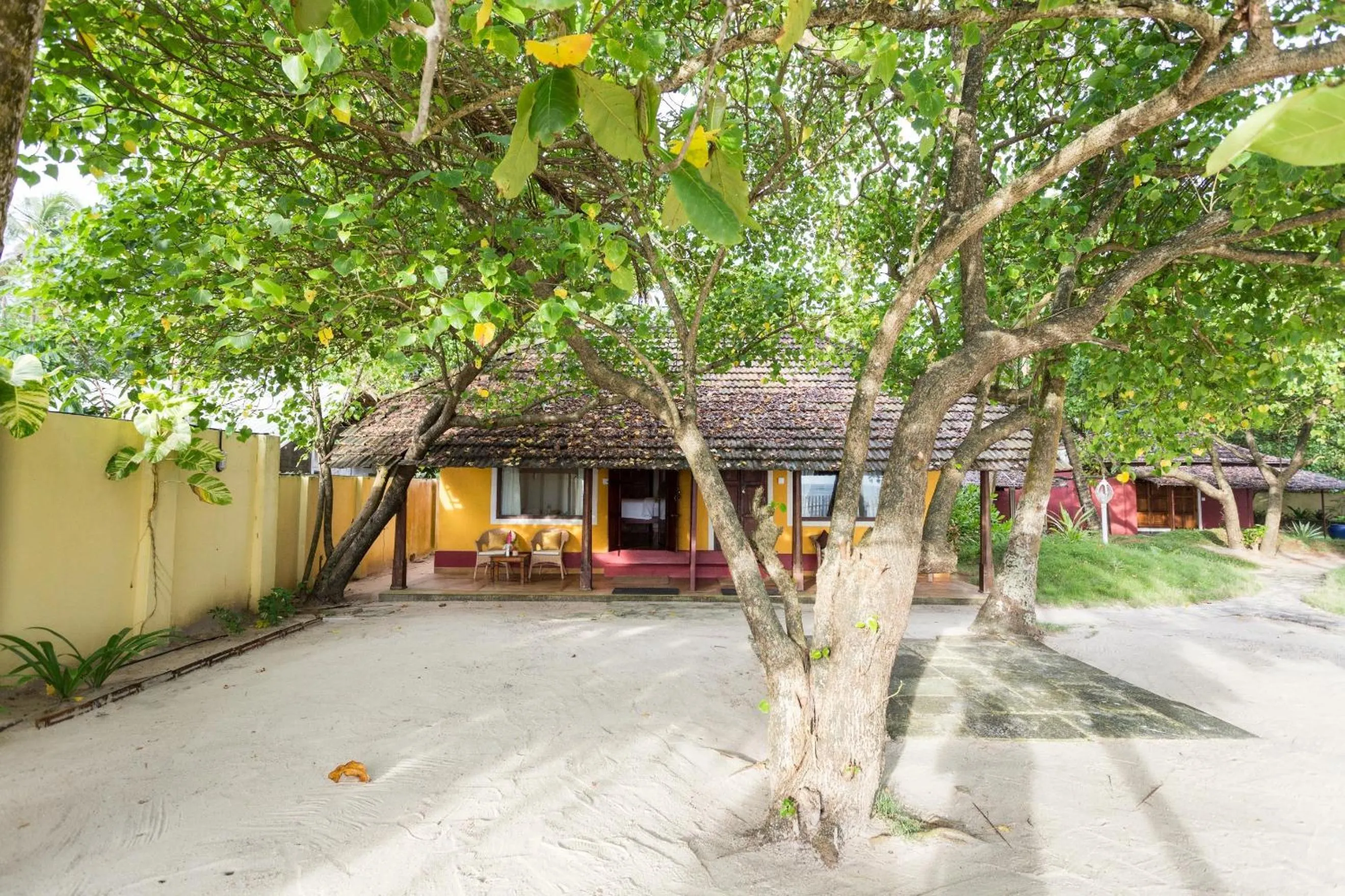 Day in Azure Tides Marari