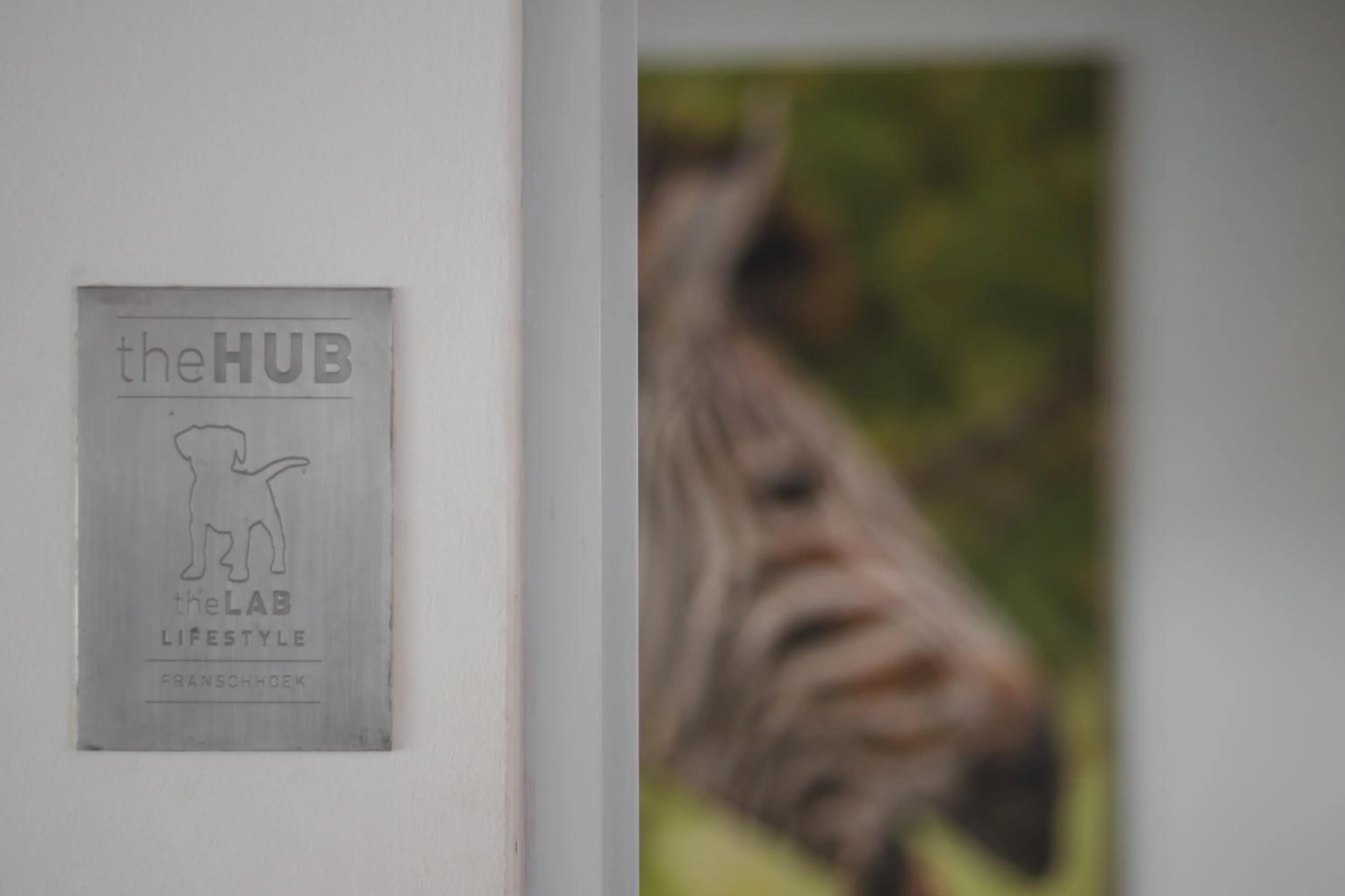 Logo/Certificate/Sign in theLAB Franschhoek