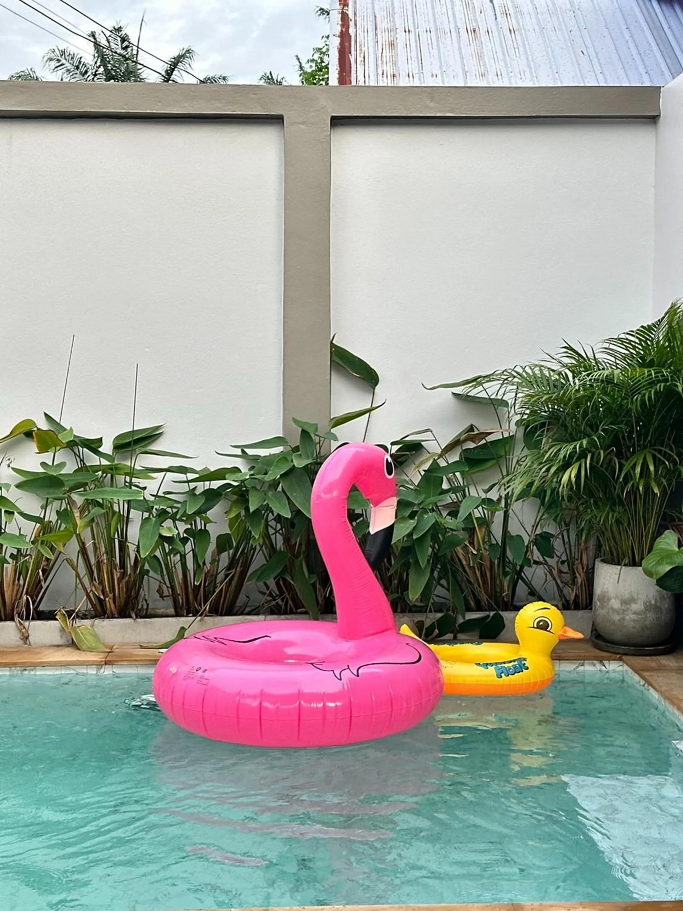 Swimming pool in Golden Palm Resort