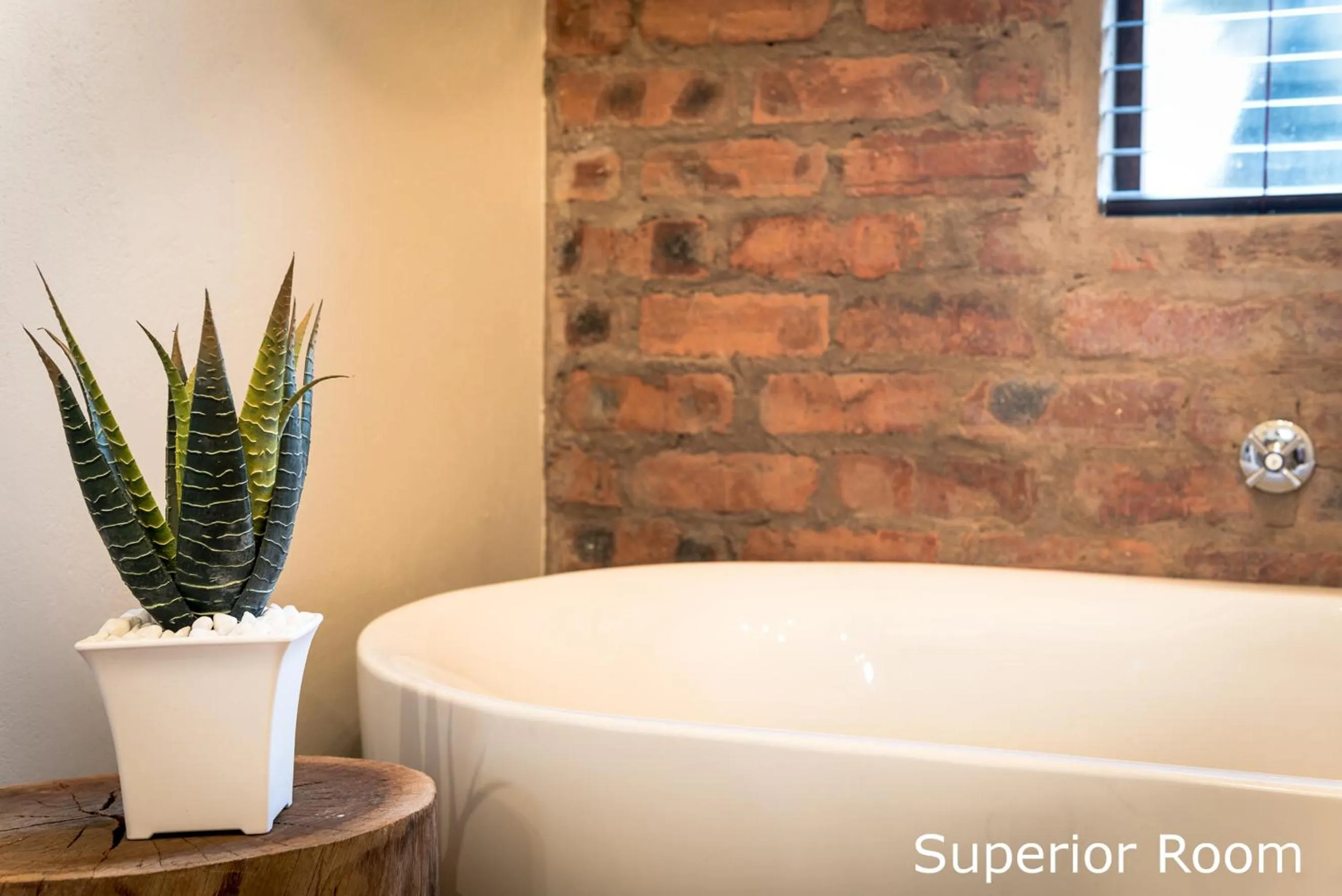 Bathroom in Hilton Bush Lodge & Function Venue