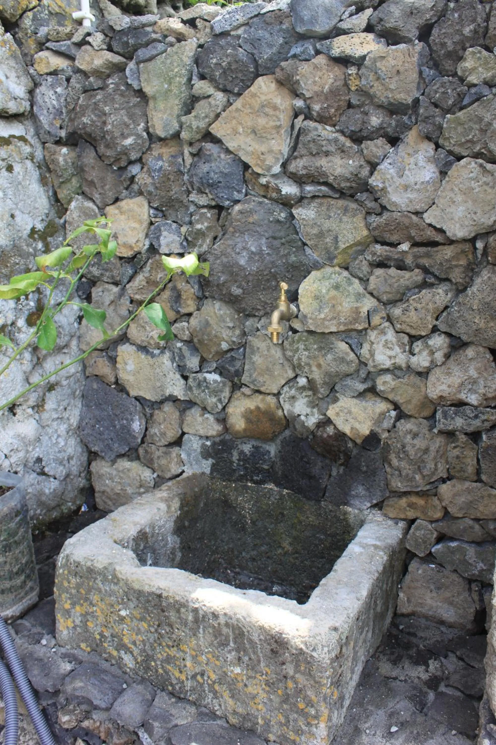 Decorative detail in Quinta das Rosas Villas