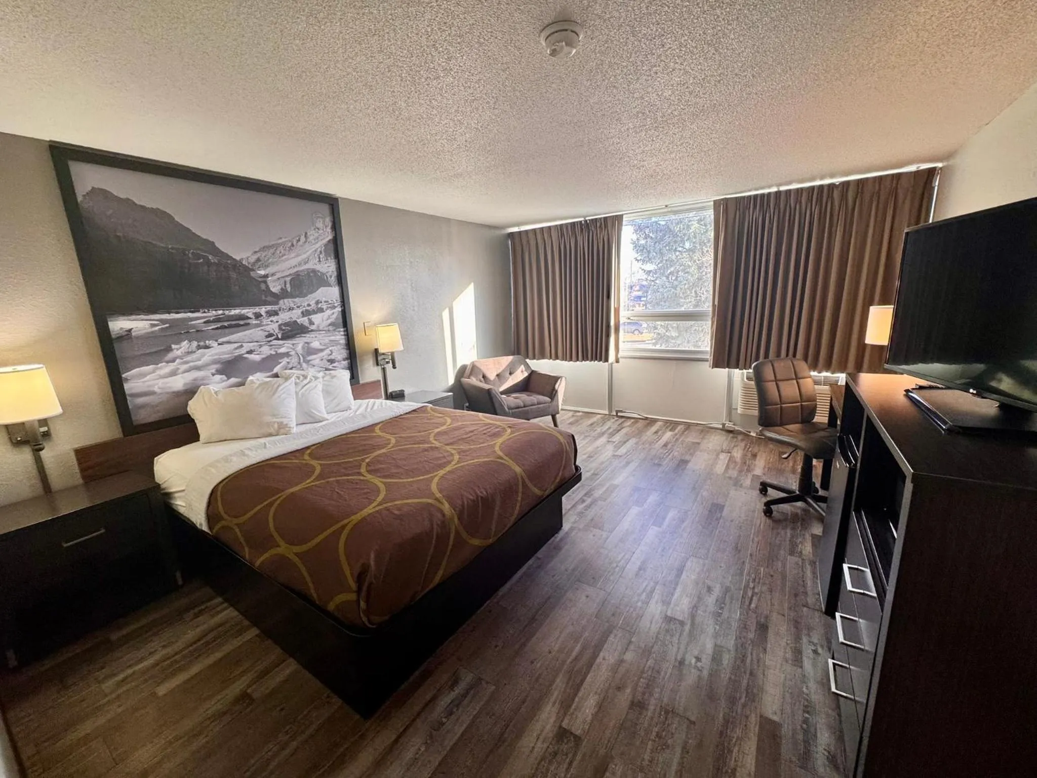 Bed in Super 8 by Wyndham Great Falls City Center