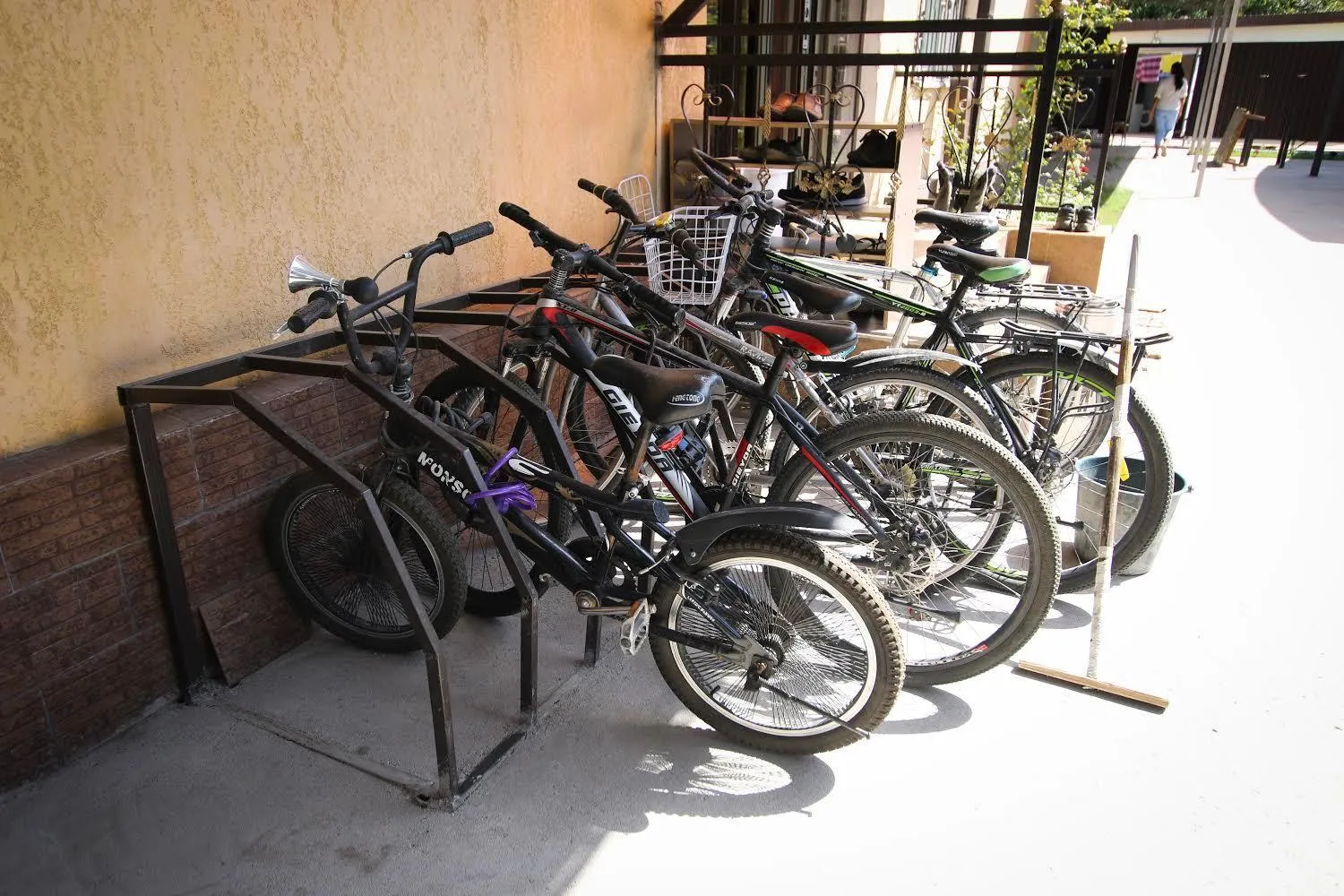 Cycling in Apple Hostel Bishkek