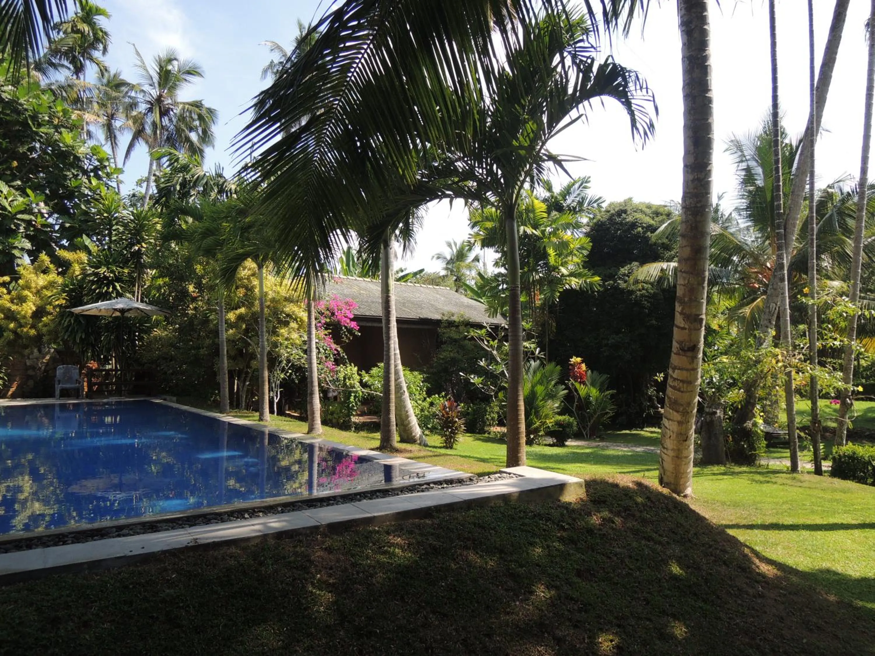 Natural landscape in The Residence Bentota