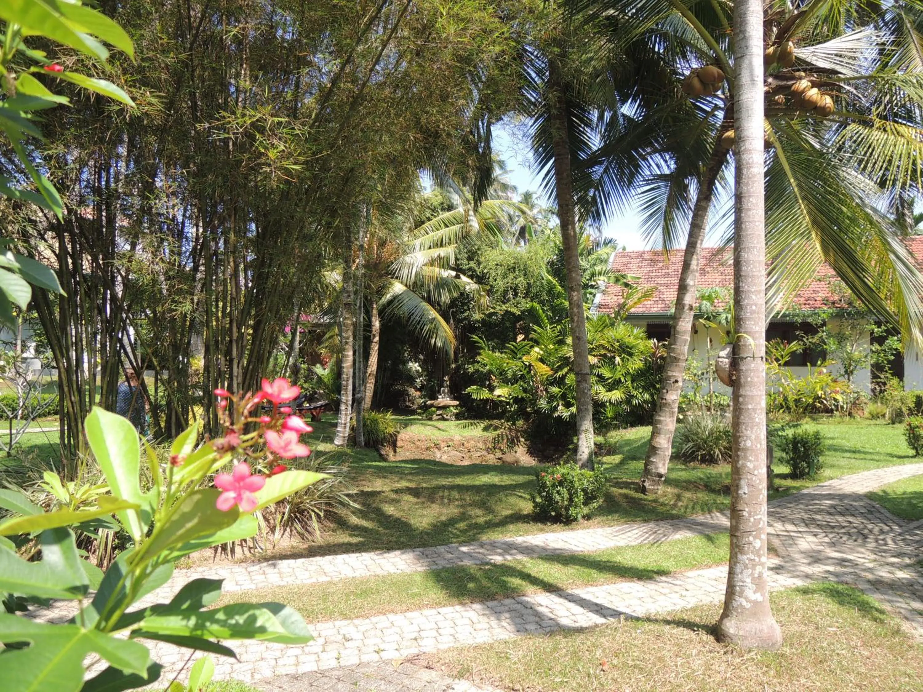 Garden in The Residence Bentota
