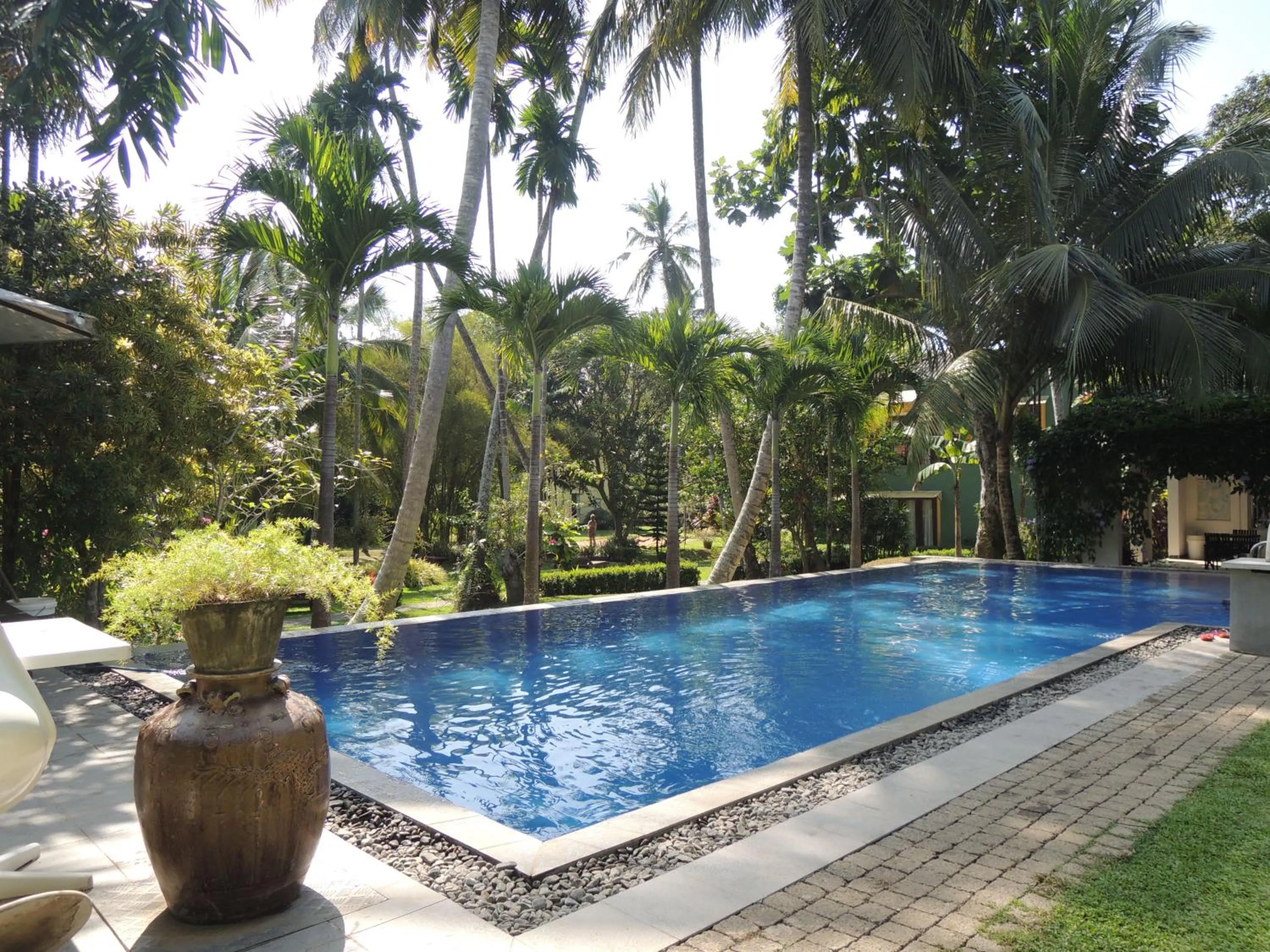 Swimming pool in The Residence Bentota
