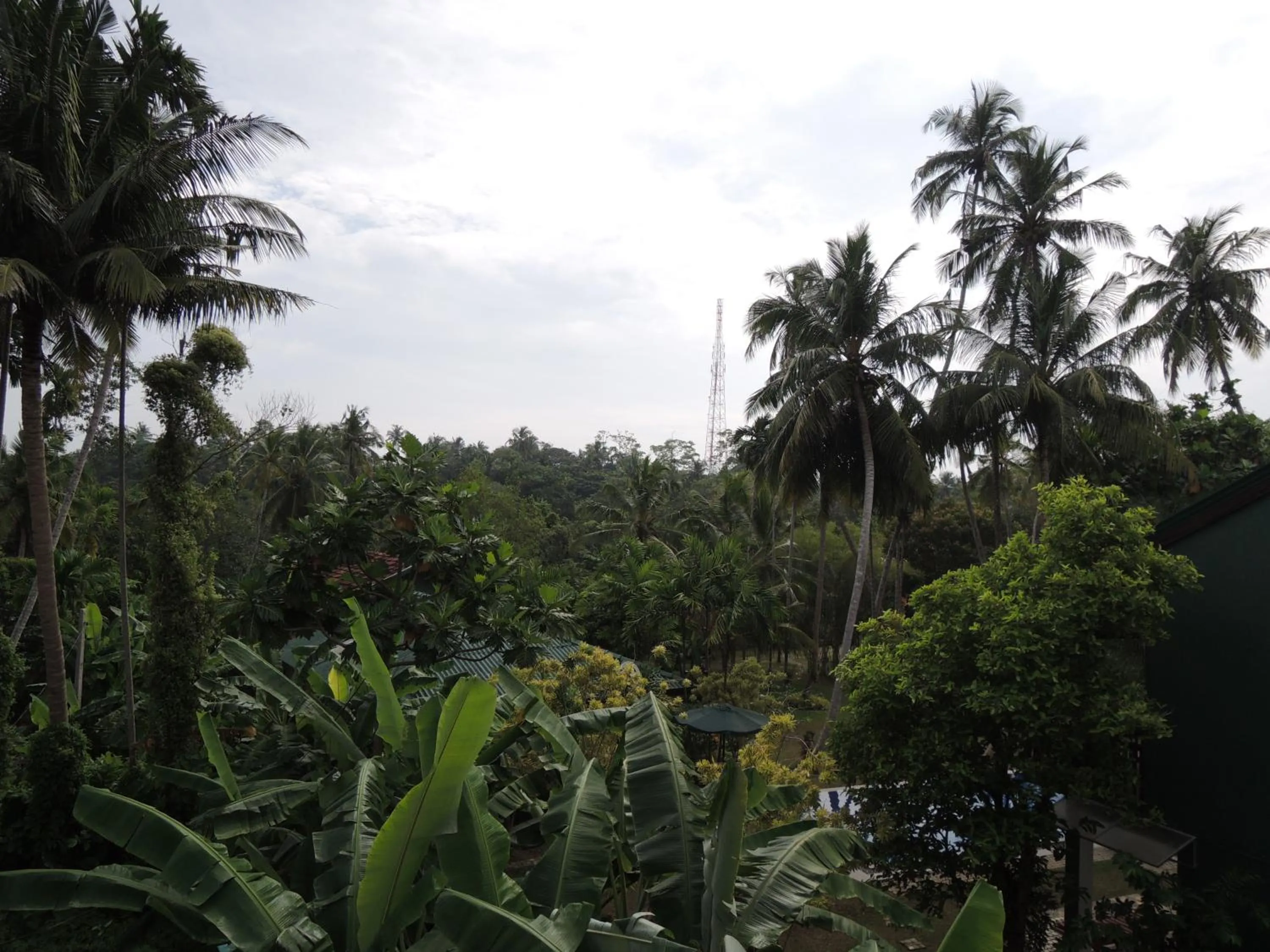 Garden view in The Residence Bentota