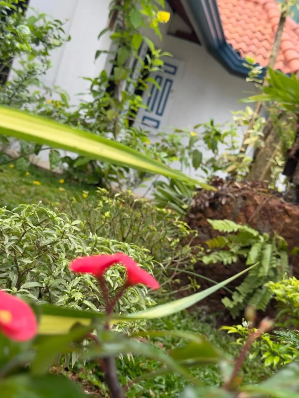 The Residence Bentota