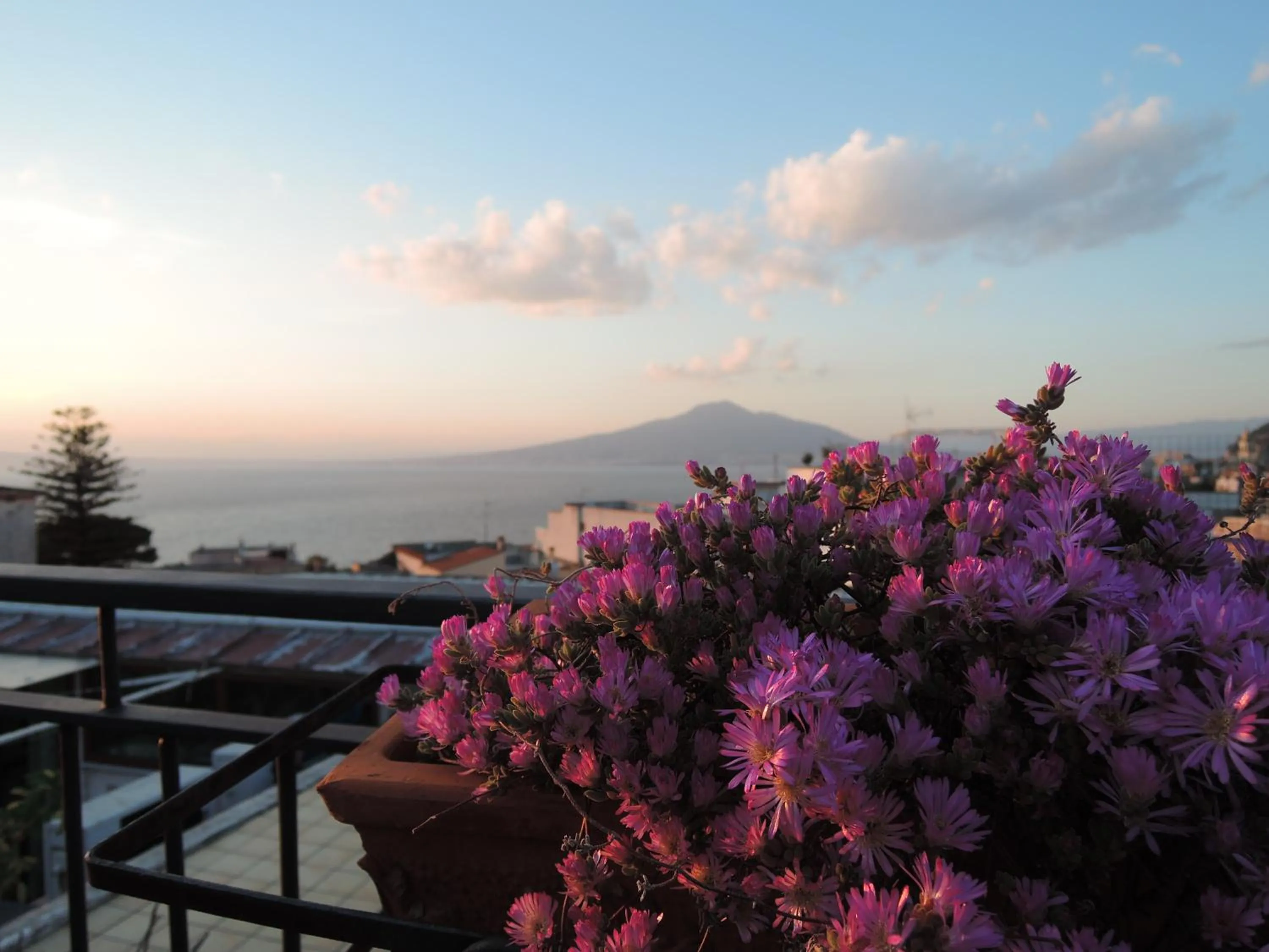 Balcony/Terrace in La Casa nel Cortile