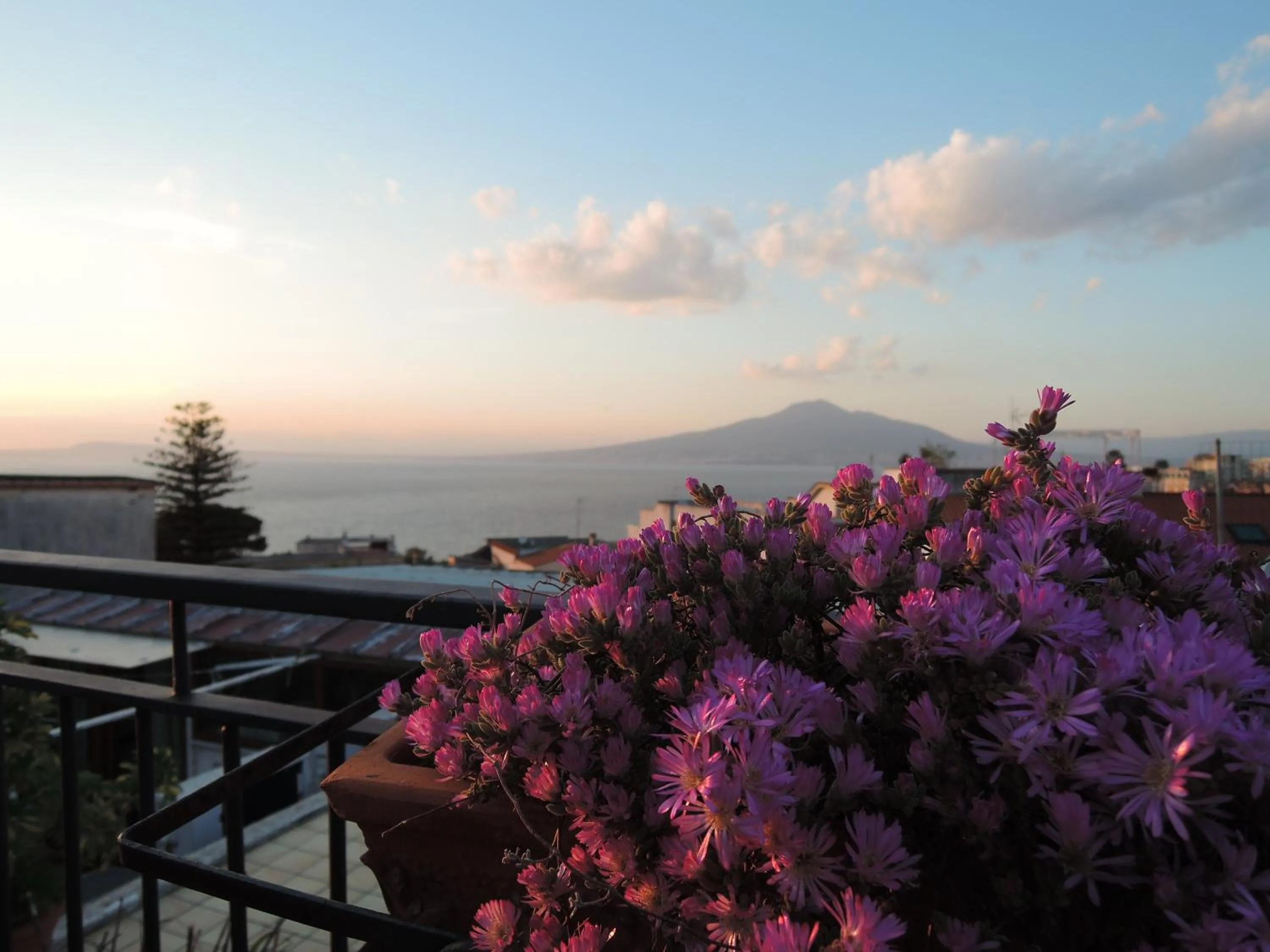 Balcony/Terrace in La Casa nel Cortile