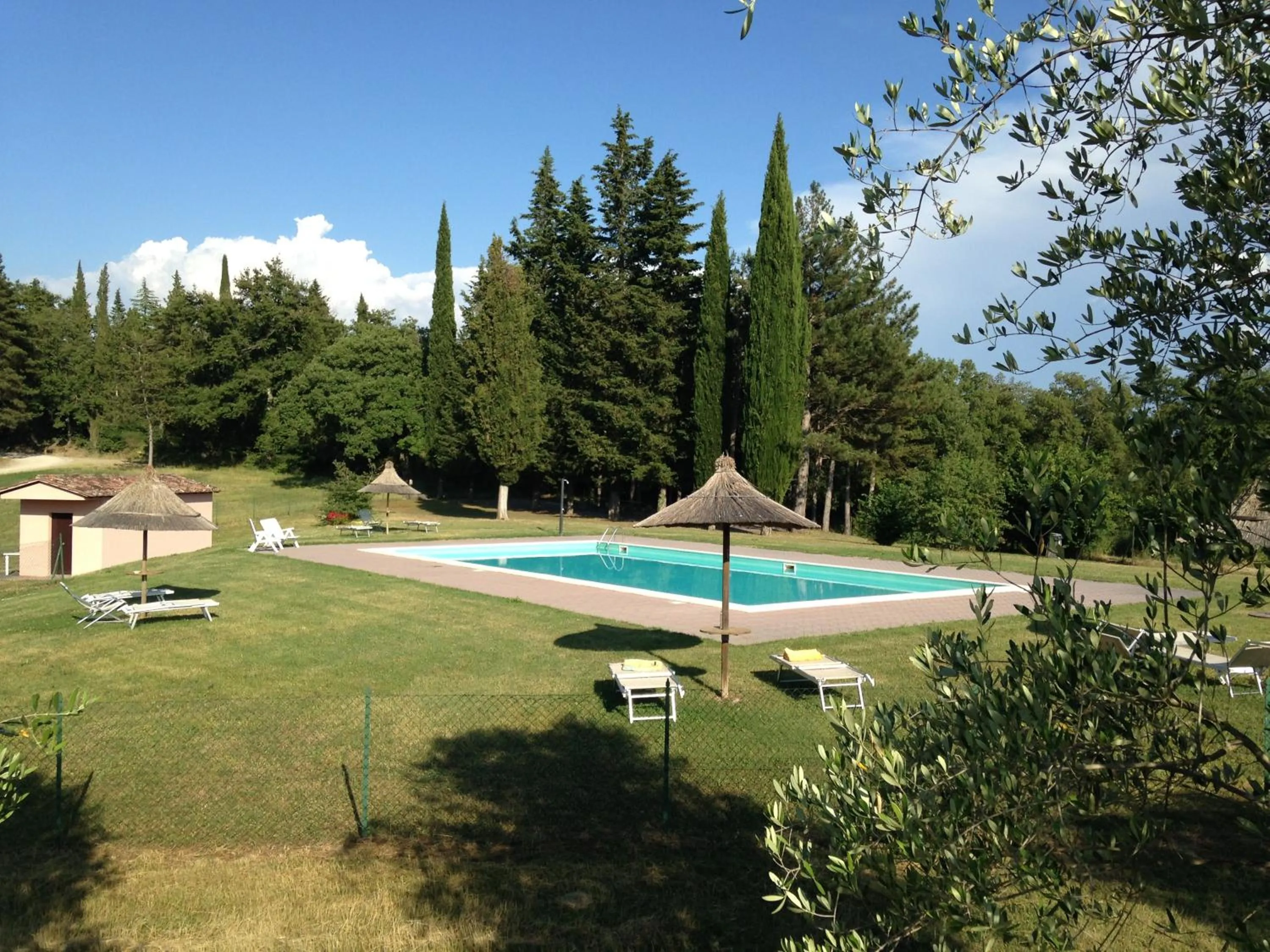 Swimming pool in Le Palazze B&b