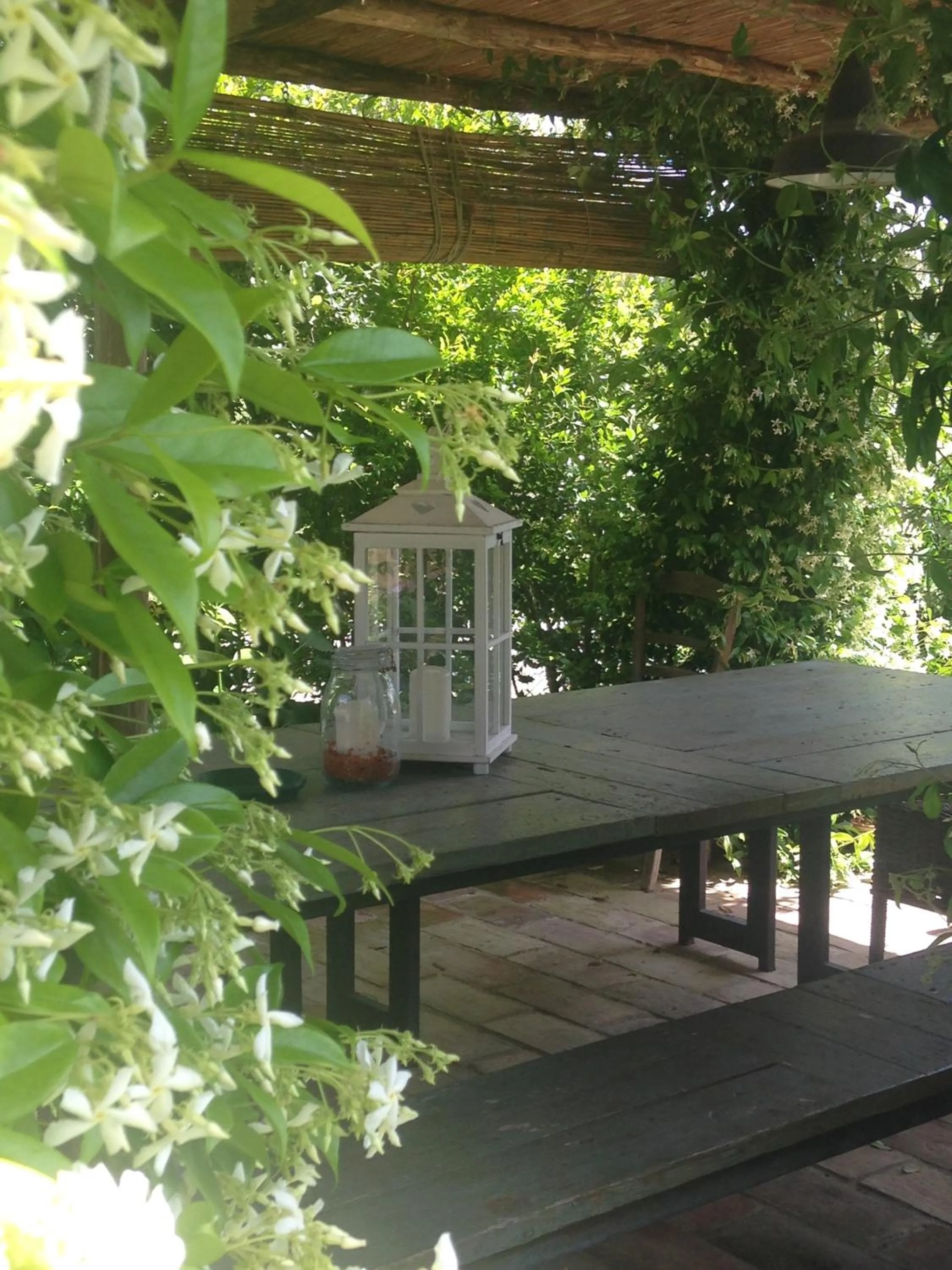 Spring in Le Palazze B&b