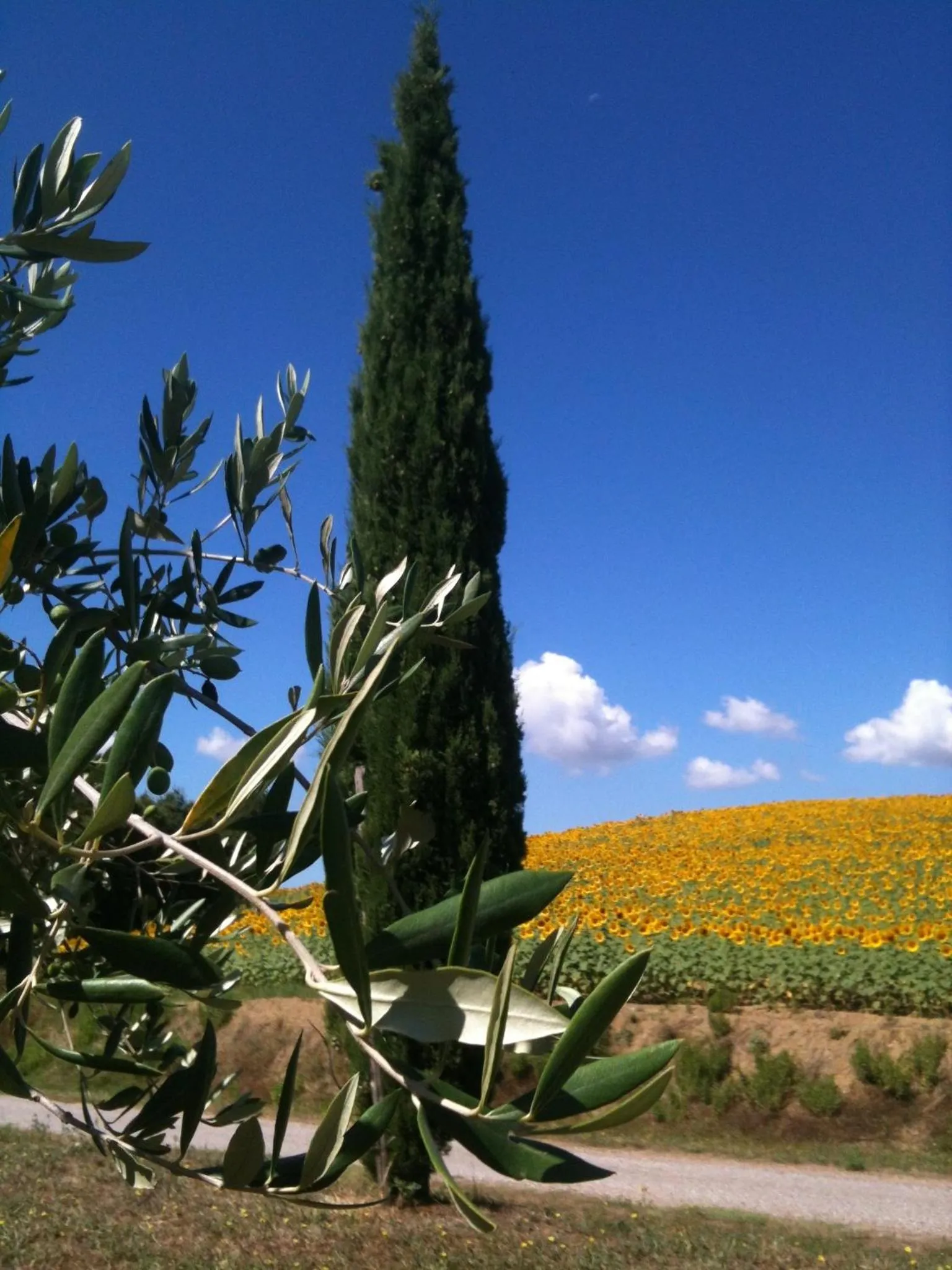 View (from property/room) in Le Palazze B&b