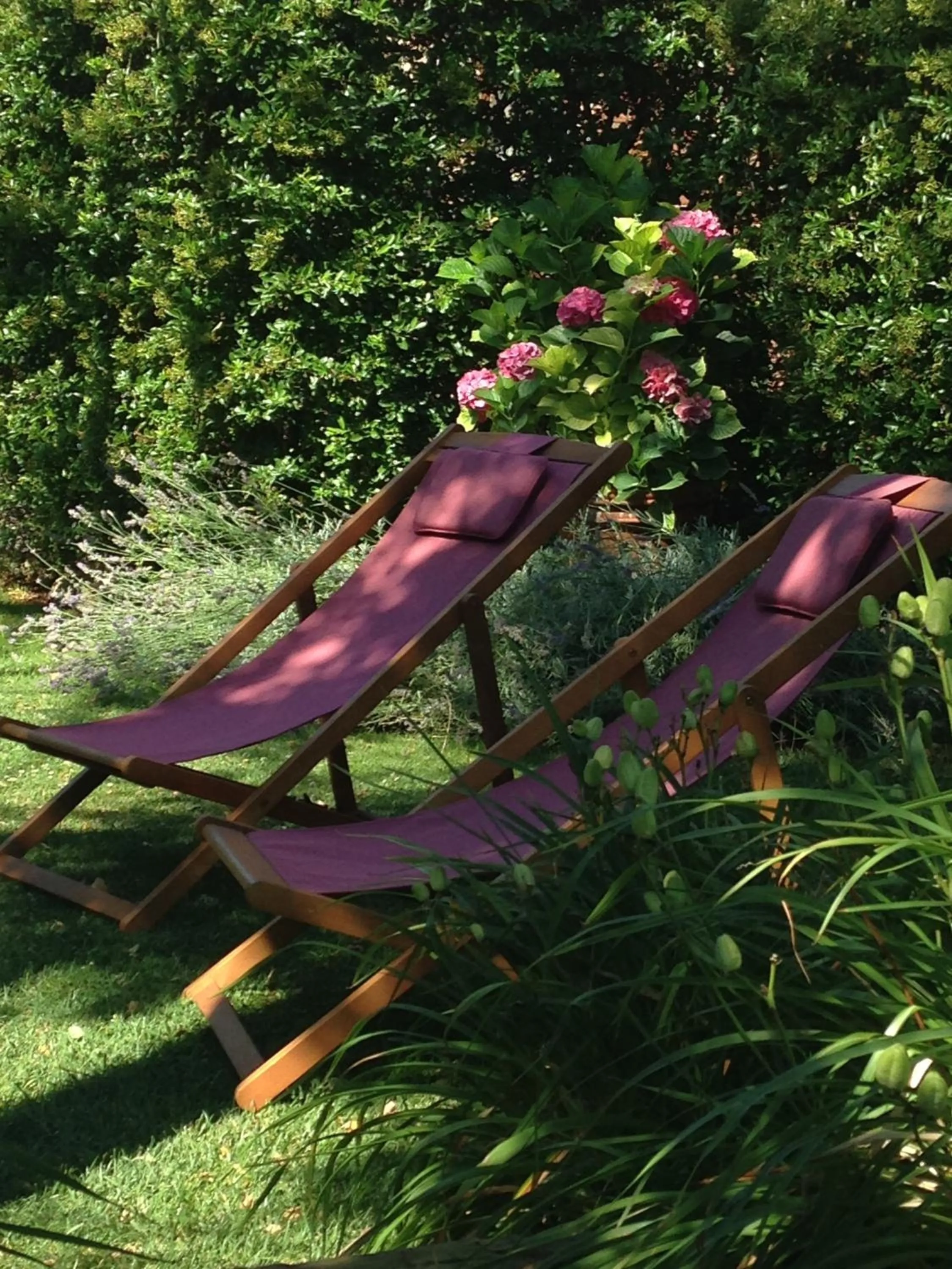 Garden in Le Palazze B&b
