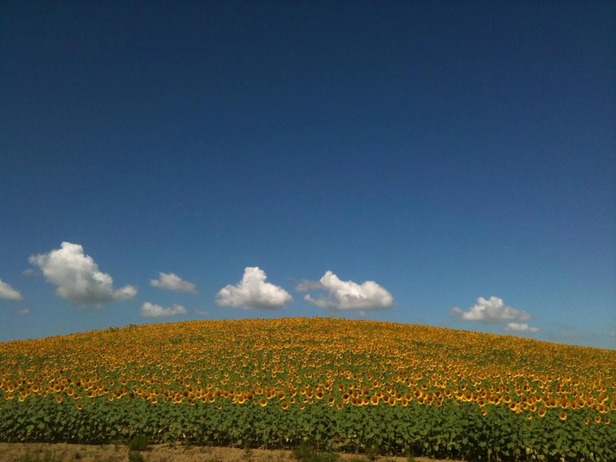 Natural landscape in Le Palazze B&b