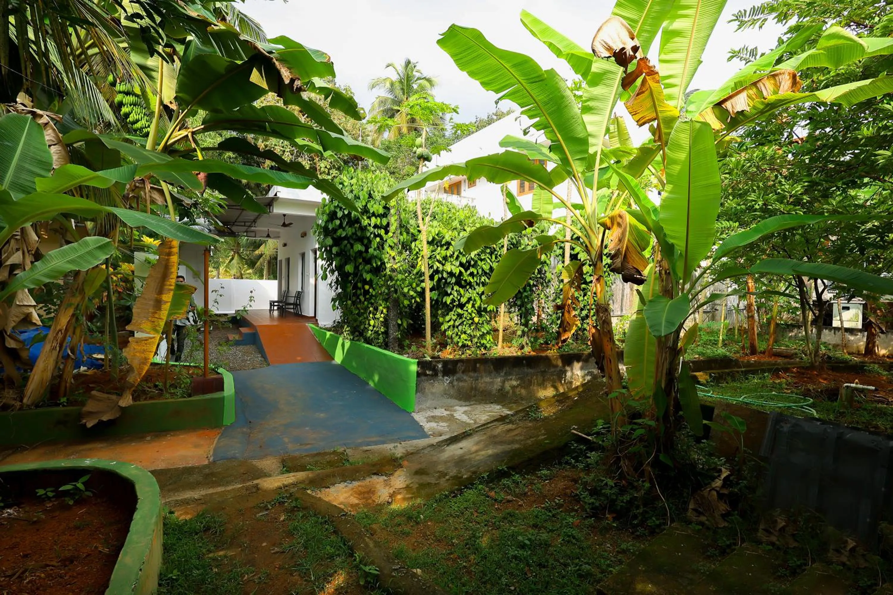 Garden view in ILLIKKALAM Lakeside Cottages Kumarakom Kerala