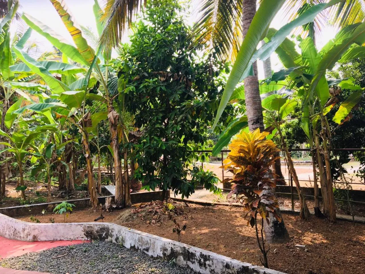 Spring in ILLIKKALAM Lakeside Cottages Kumarakom Kerala