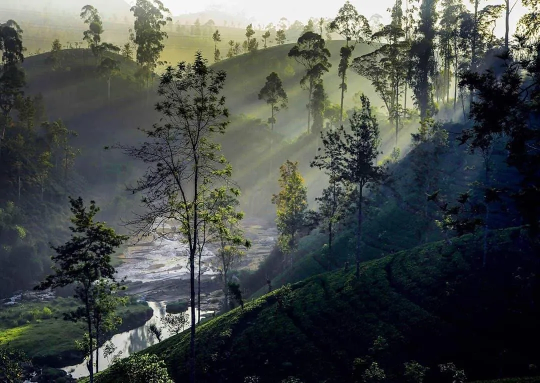 Balcony/Terrace in White Elephant Hotel