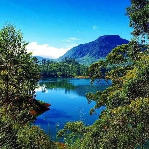 Garden view in White Elephant Hotel