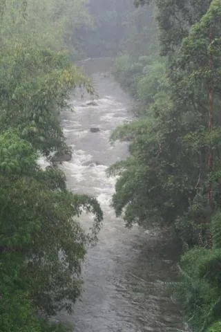 View (from property/room) in White Elephant Hotel