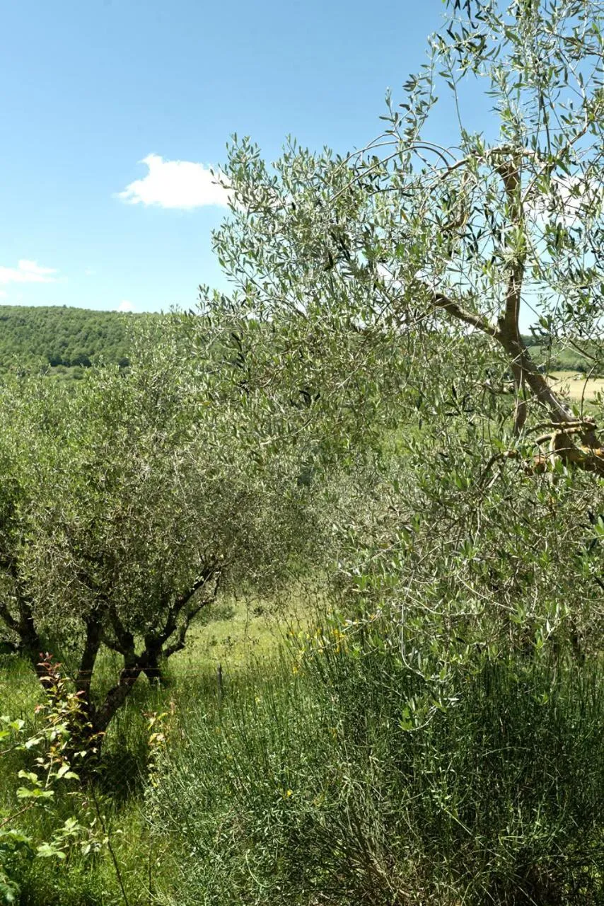 La Vittoria 10 – La Soglia della Val d’Orcia