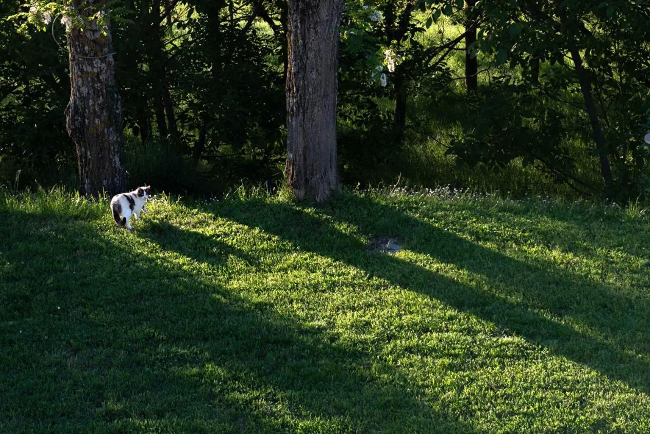 La Vittoria 10 – La Soglia della Val d’Orcia
