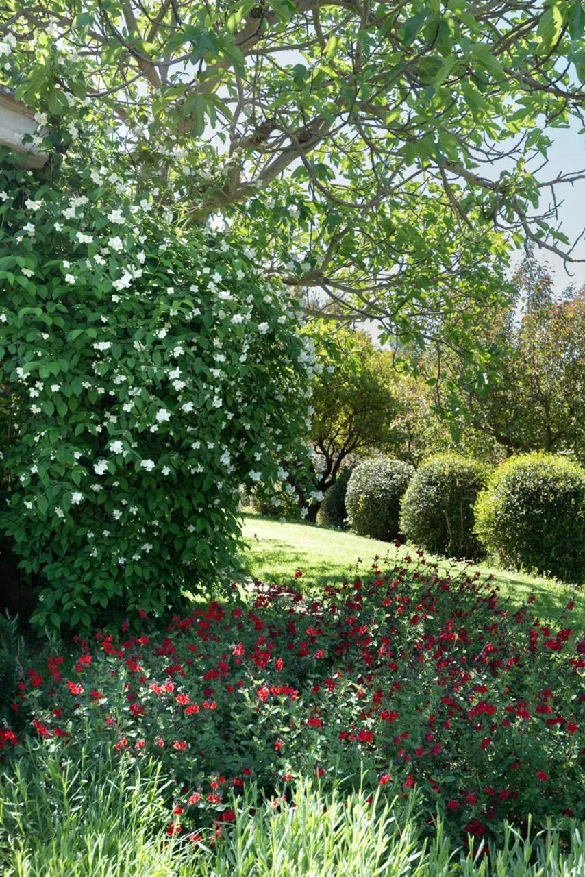 Spring in La Vittoria 10 – La Soglia della Val d’Orcia