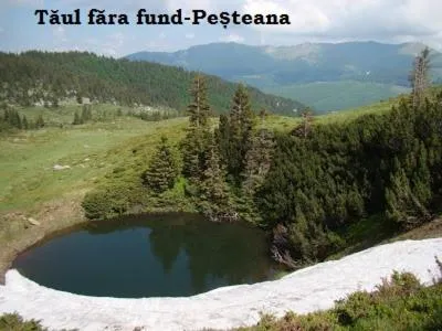 Pensiunea Avy