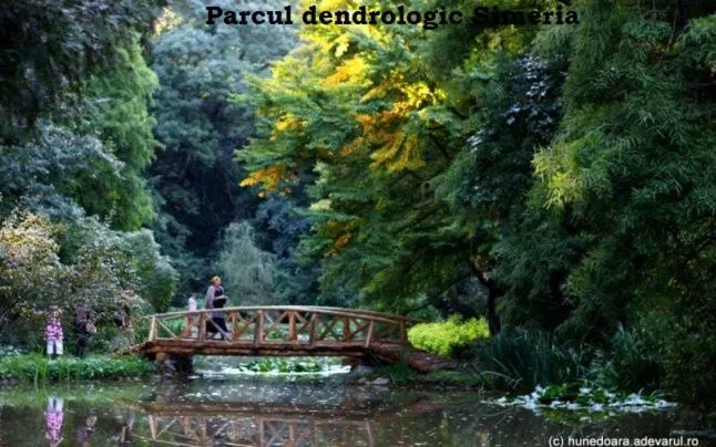 Pensiunea Avy