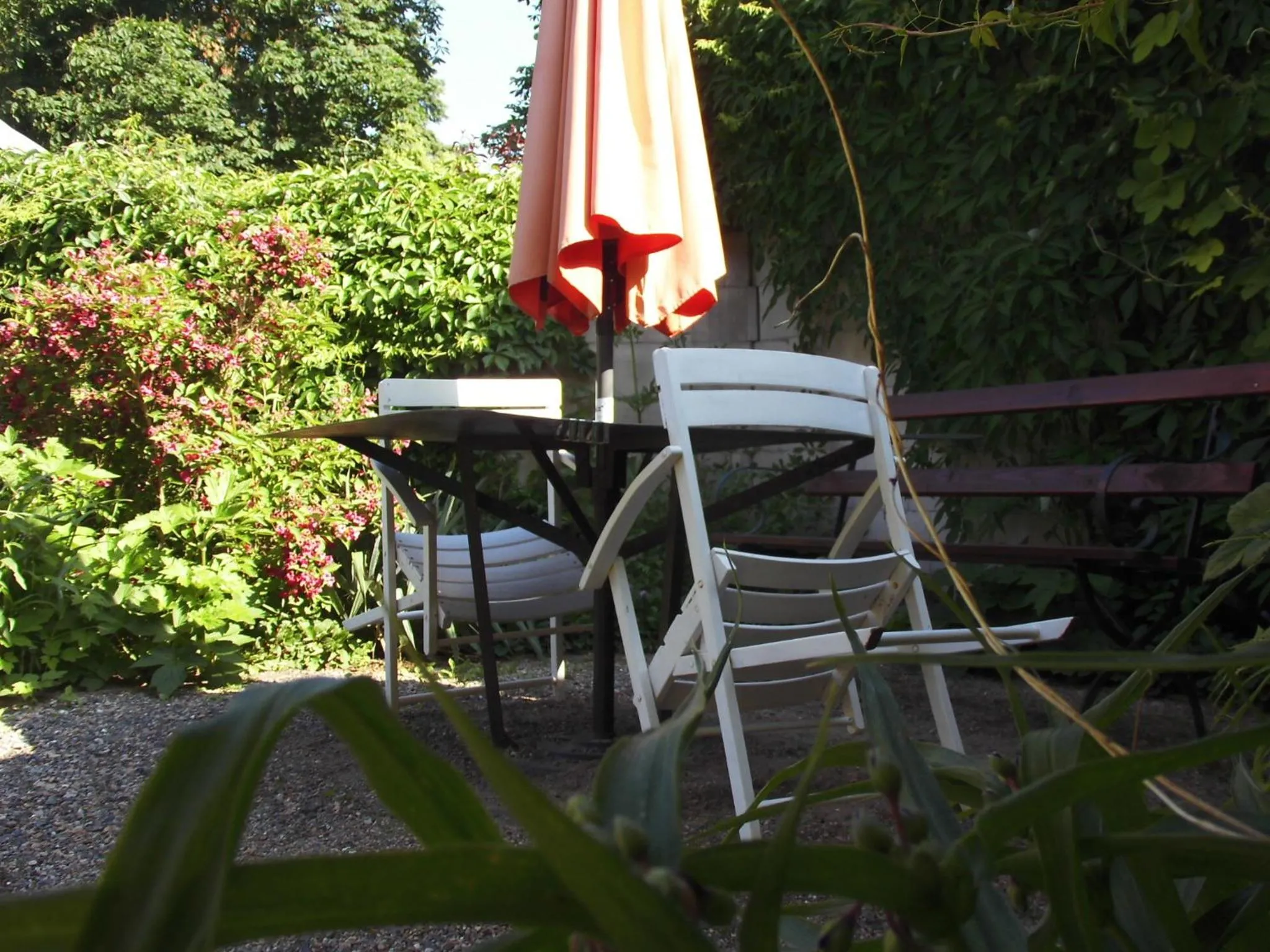 Garden in SchlossparkFerienwohnungen Rheinsberg mit Garten