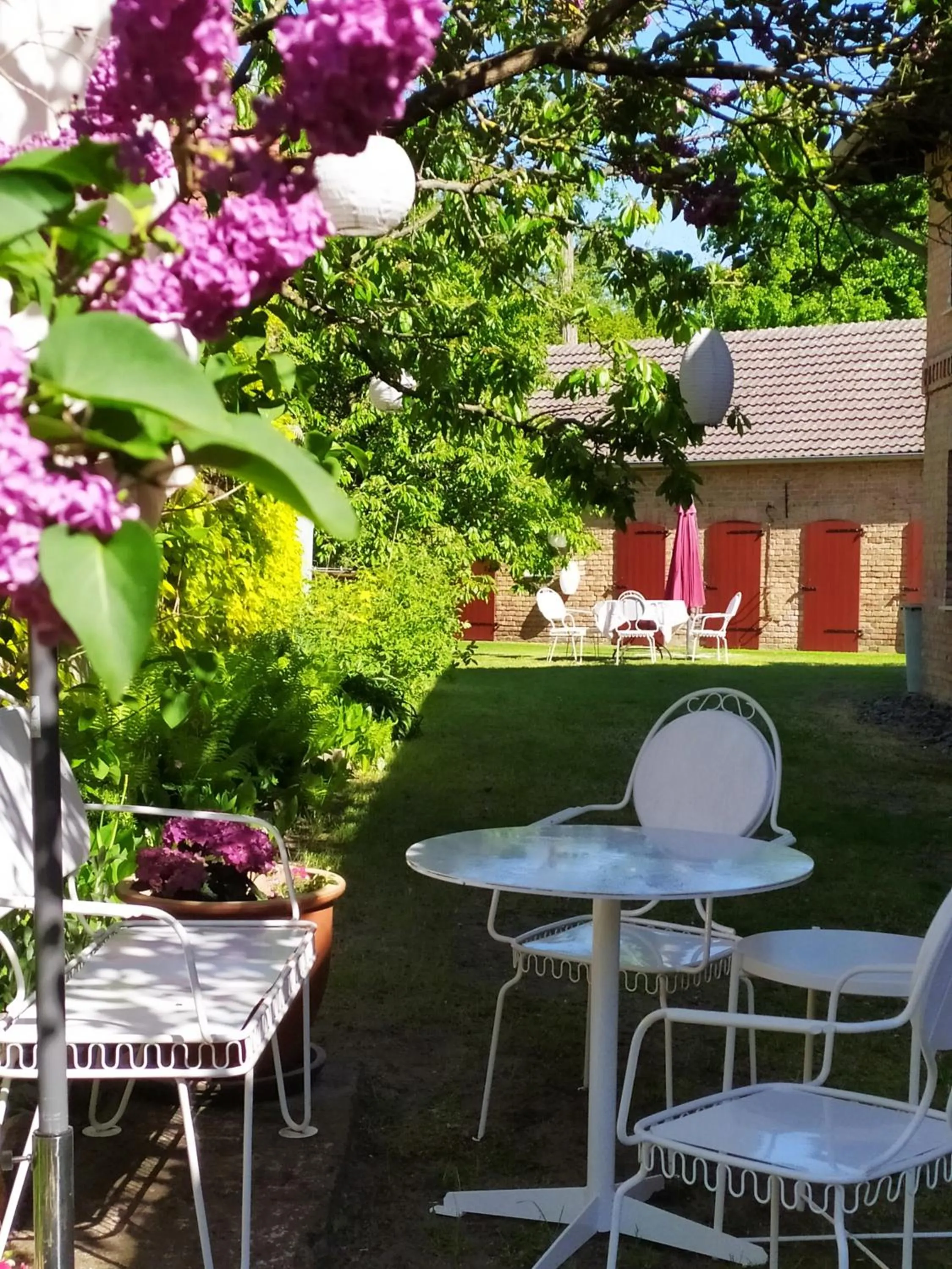 Patio in SchlossparkFerienwohnungen Rheinsberg mit Garten