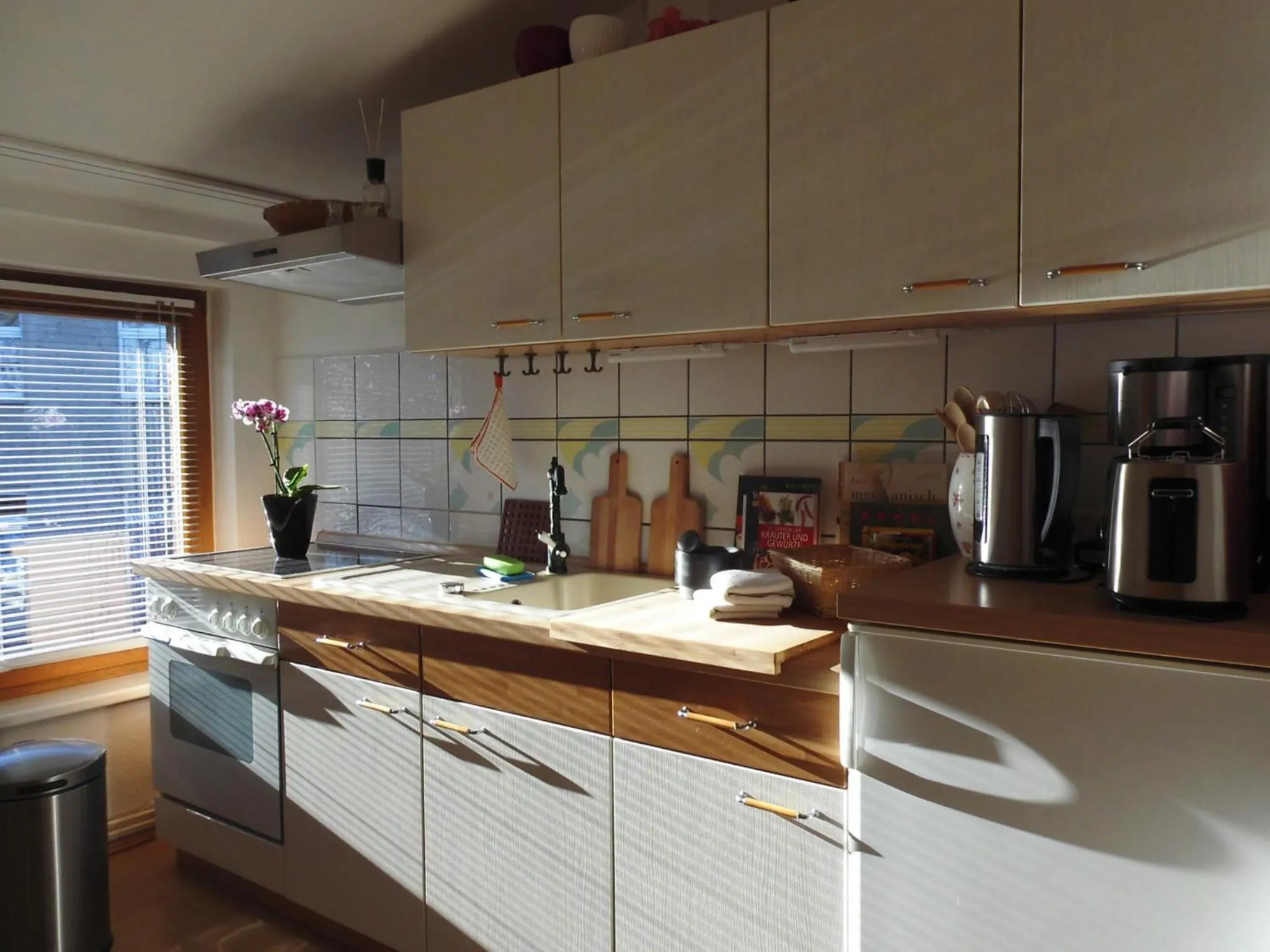 Kitchen or kitchenette in SchlossparkFerienwohnungen Rheinsberg mit Garten