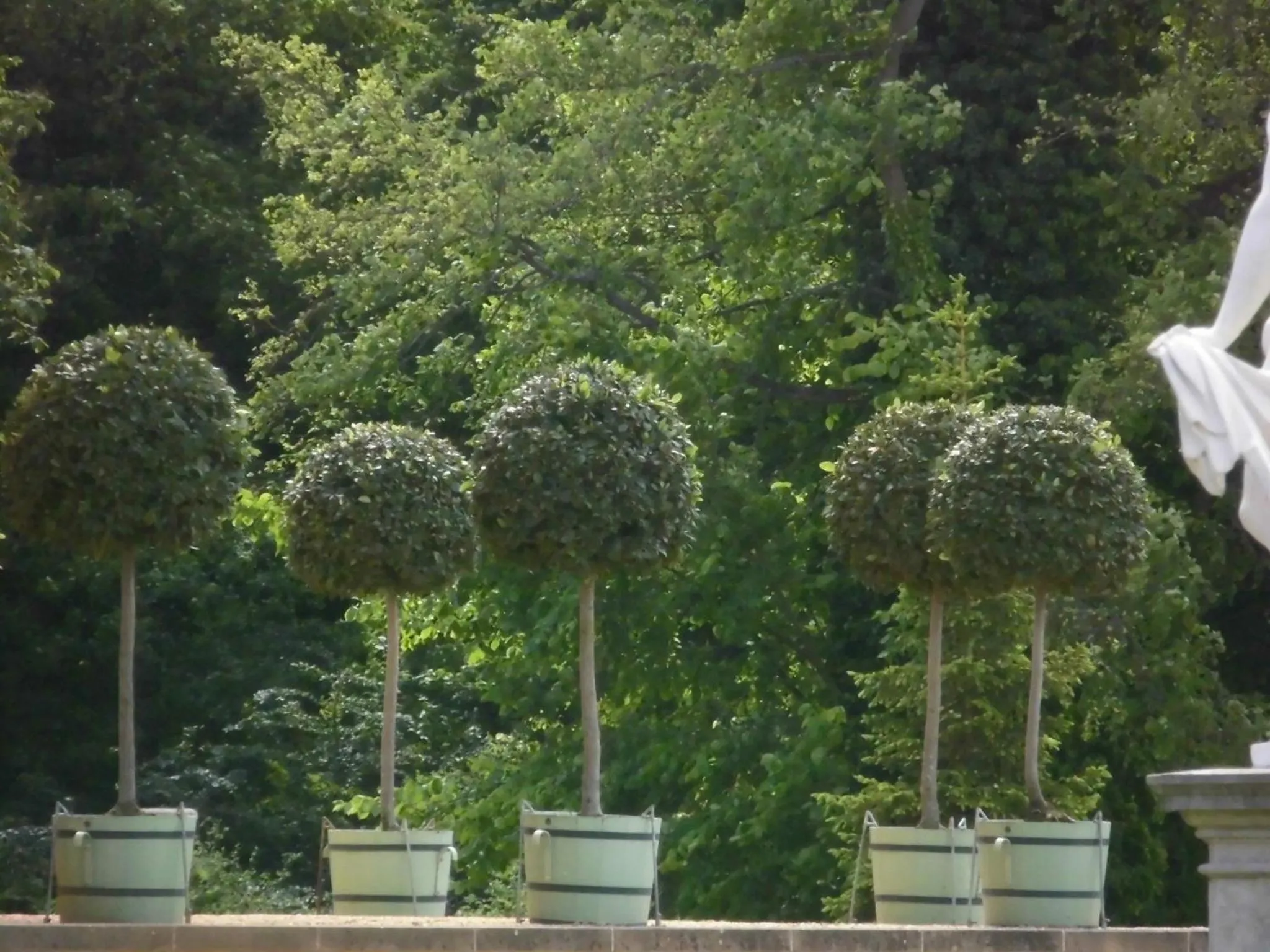 Nearby landmark in SchlossparkFerienwohnungen Rheinsberg mit Garten