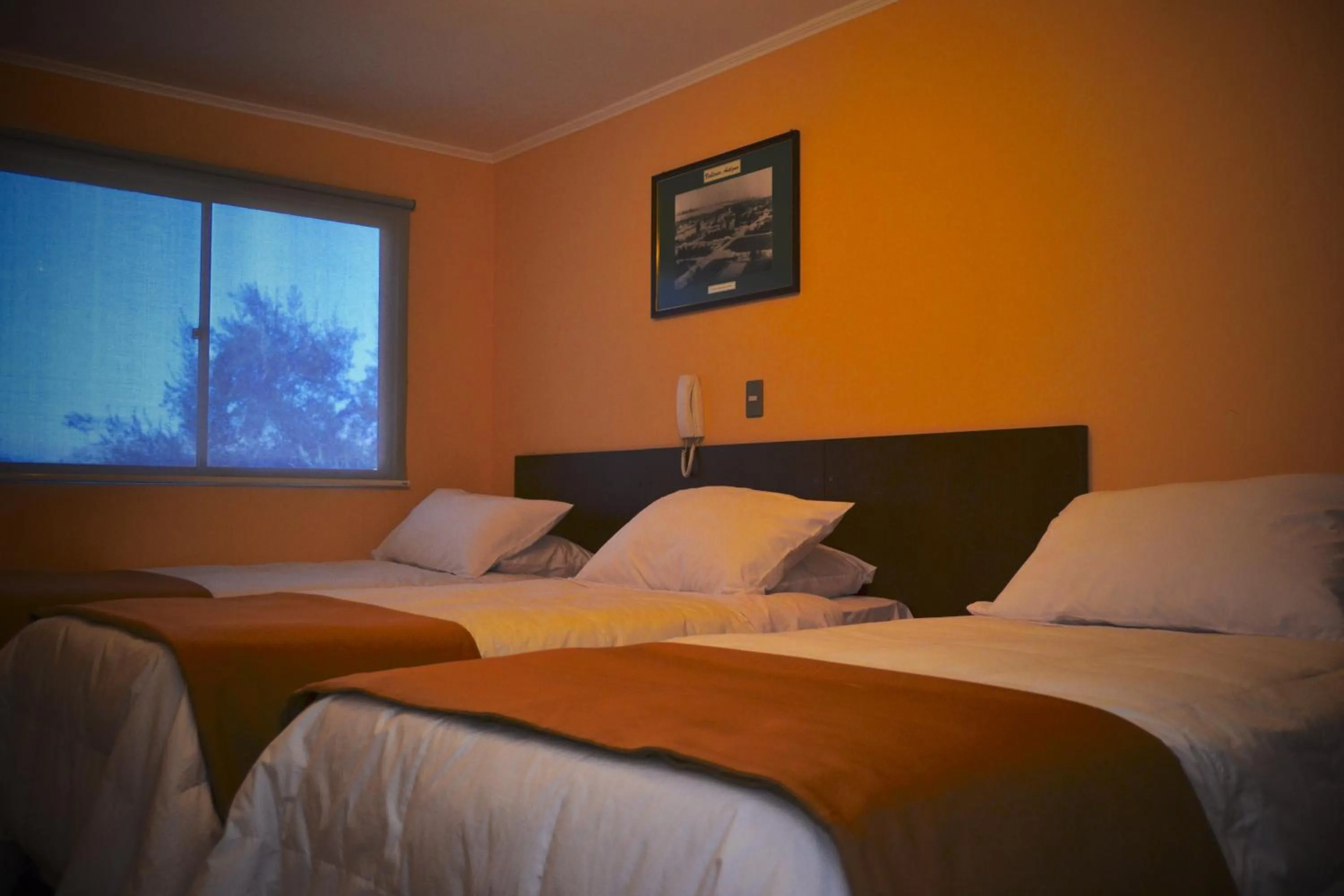 Bed in Hotel Del Marques