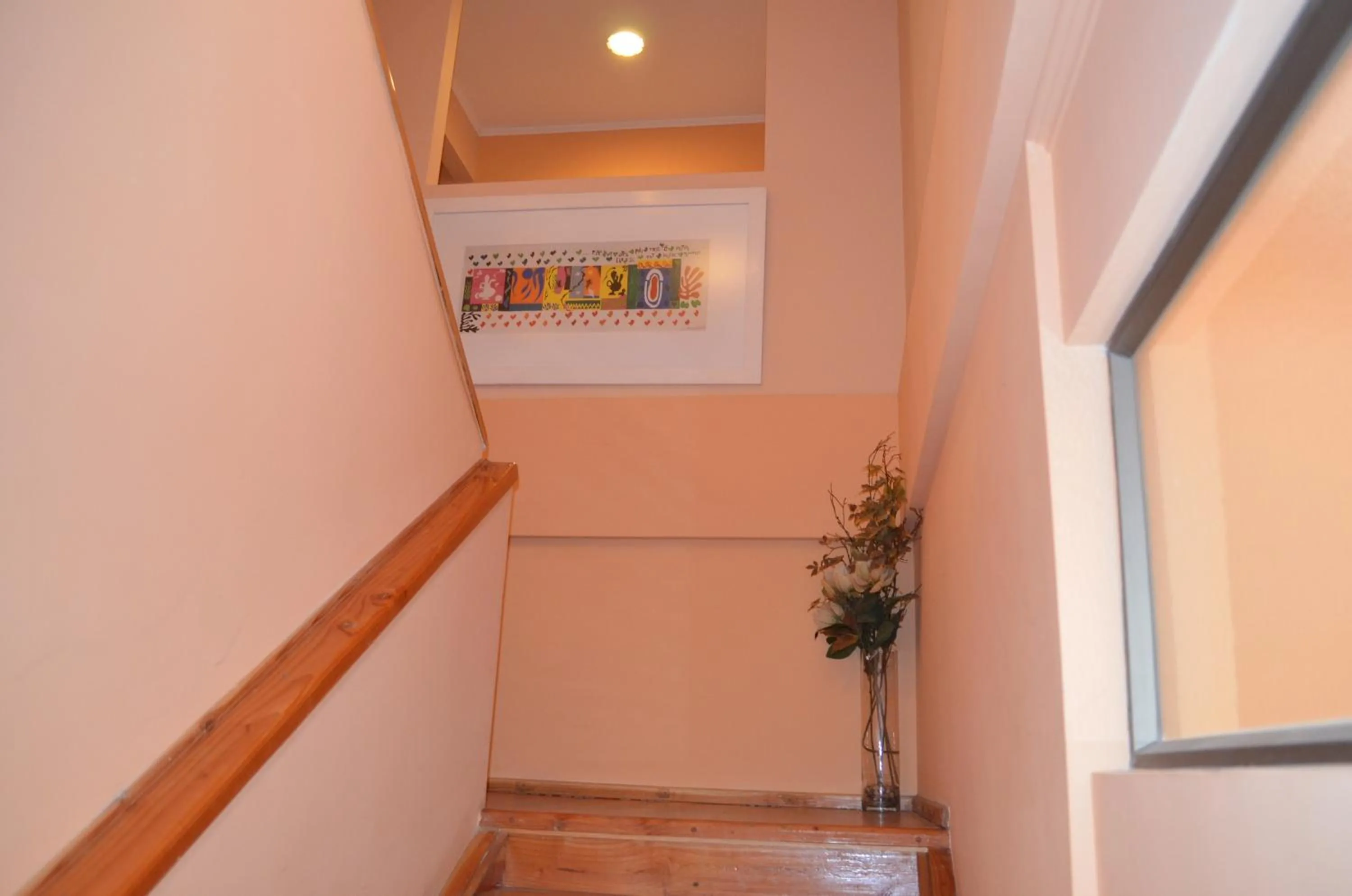 Area and facilities in Hotel Del Marques