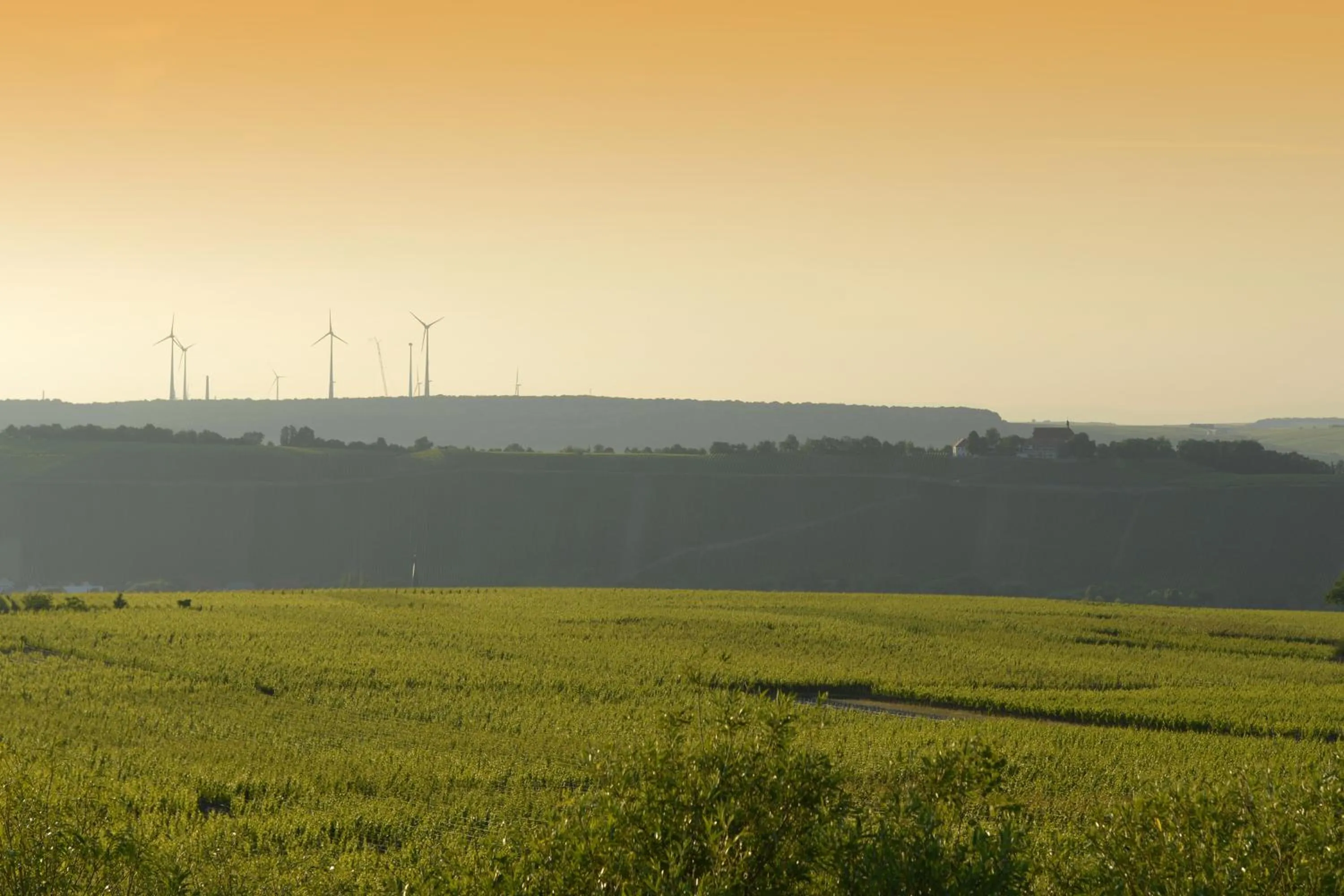 Sunrise in Vogelsburg