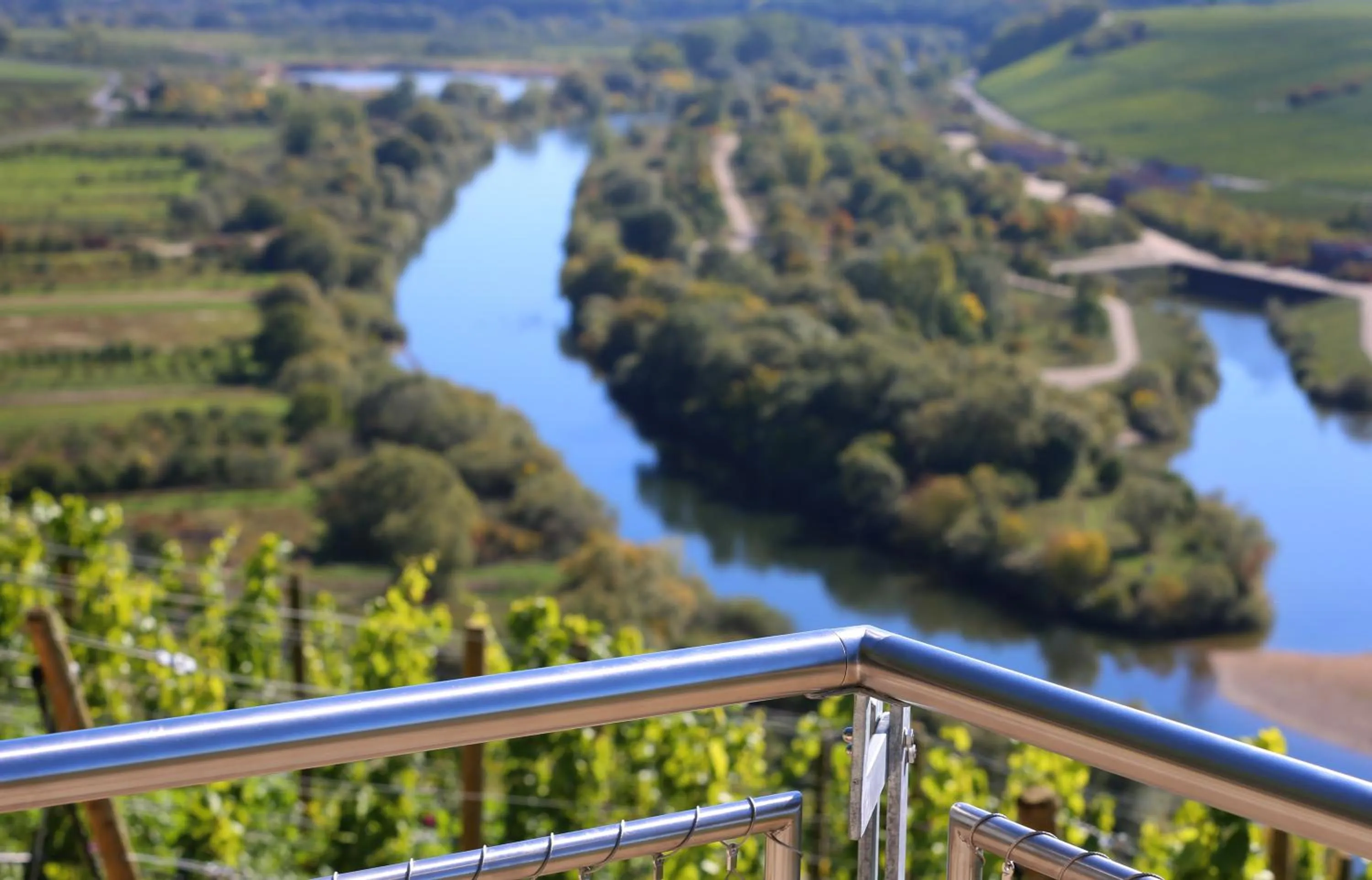 River view in Vogelsburg