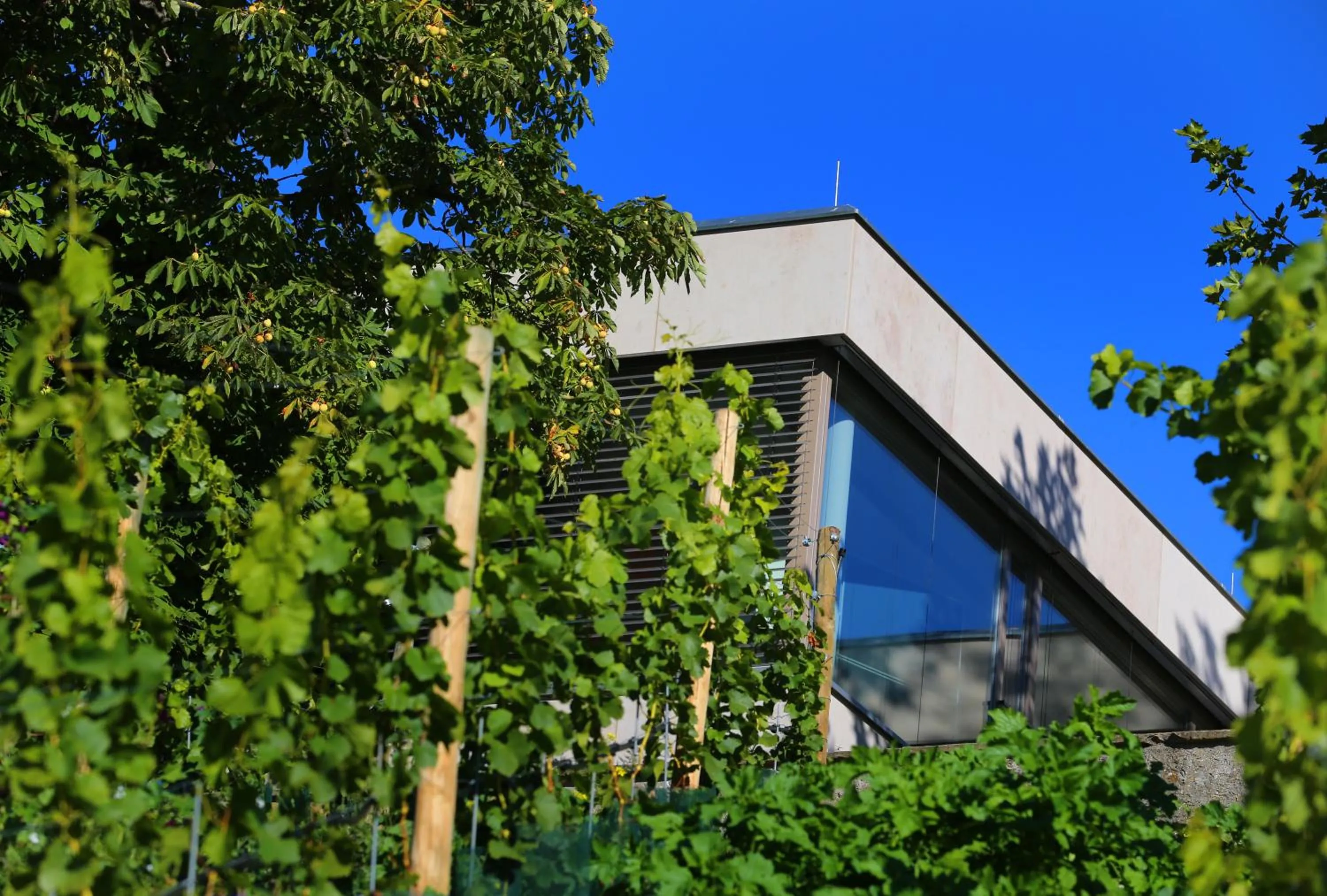 Facade/entrance in Vogelsburg