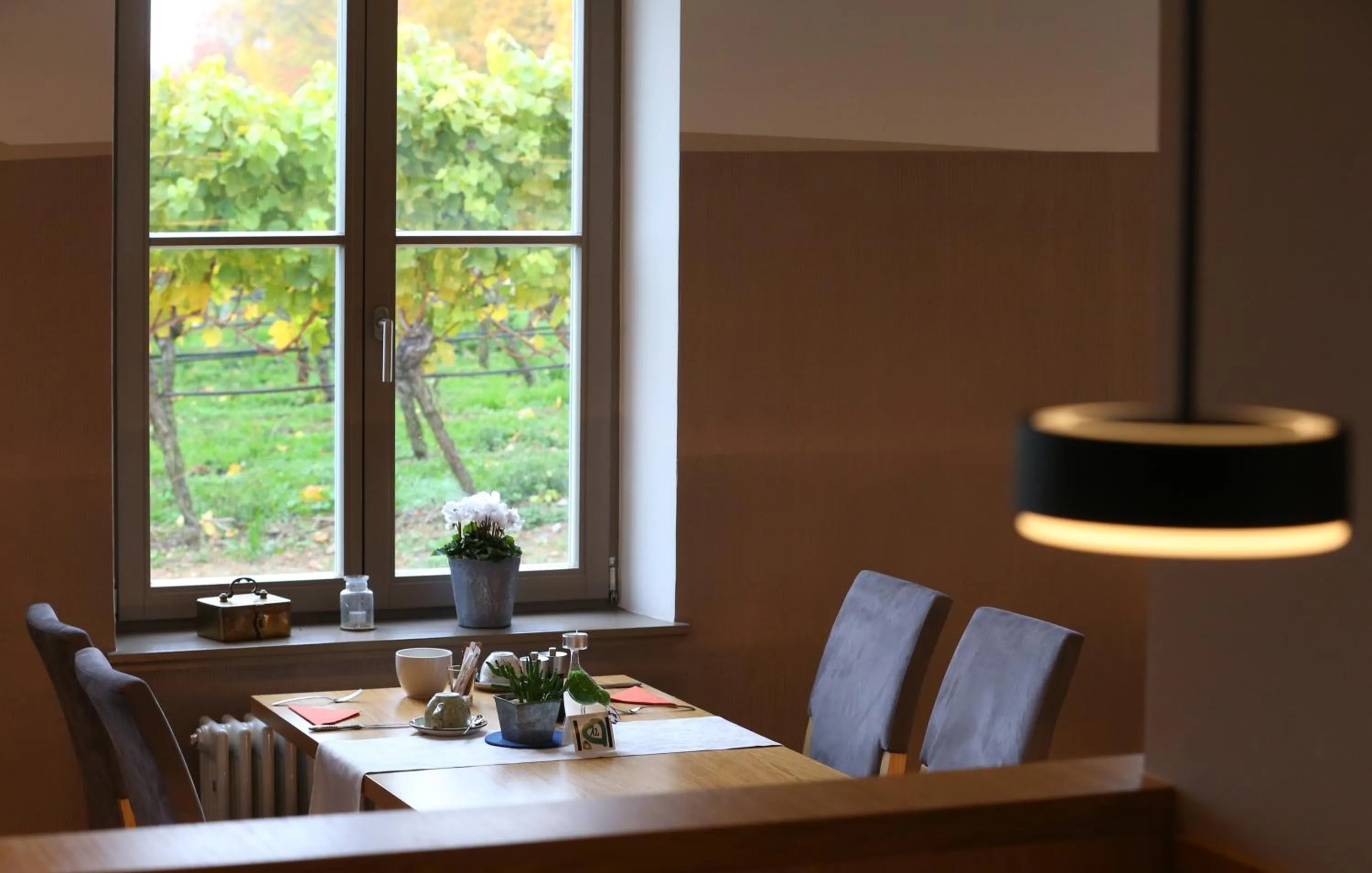 Restaurant/places to eat in Vogelsburg