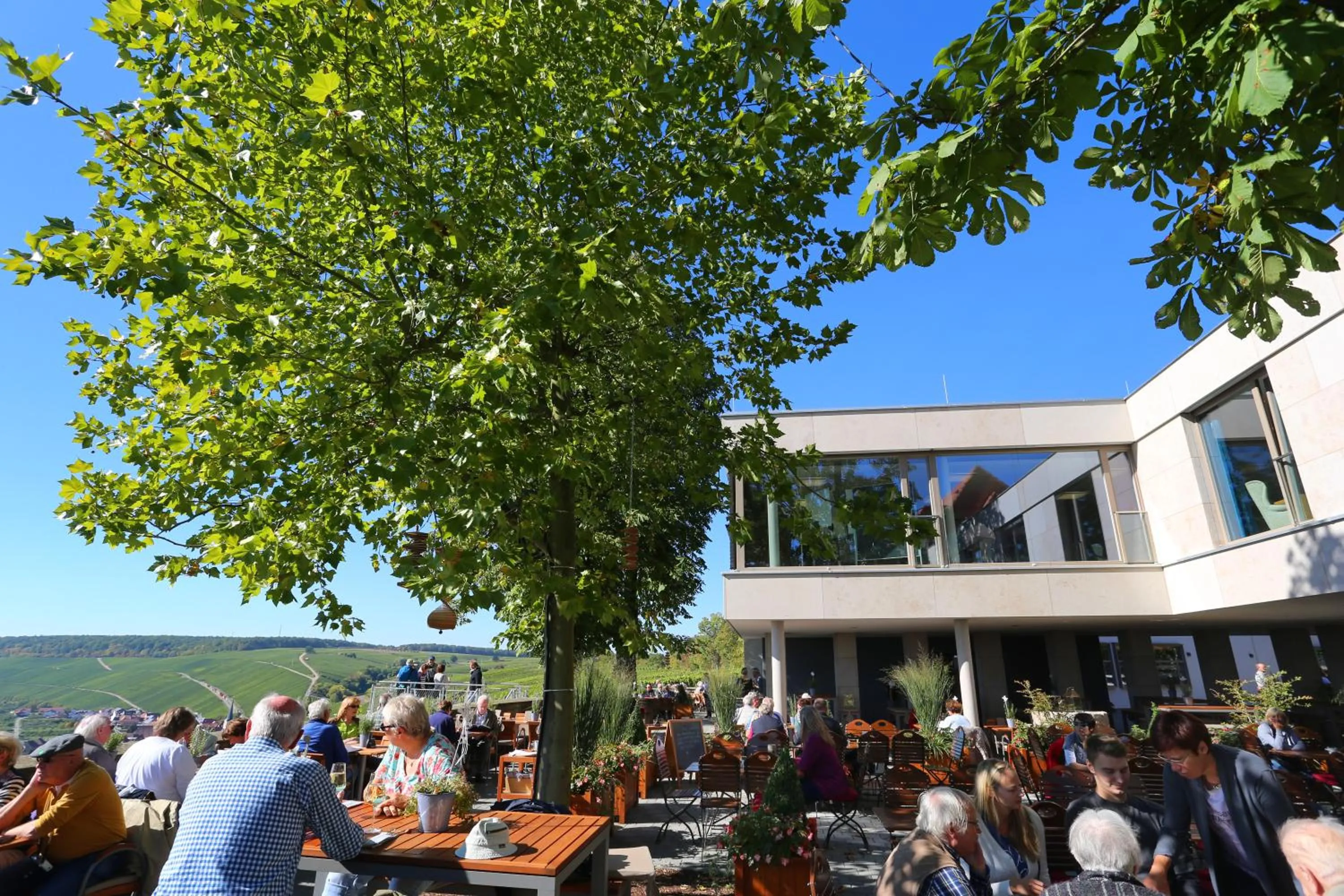 Restaurant/places to eat in Vogelsburg