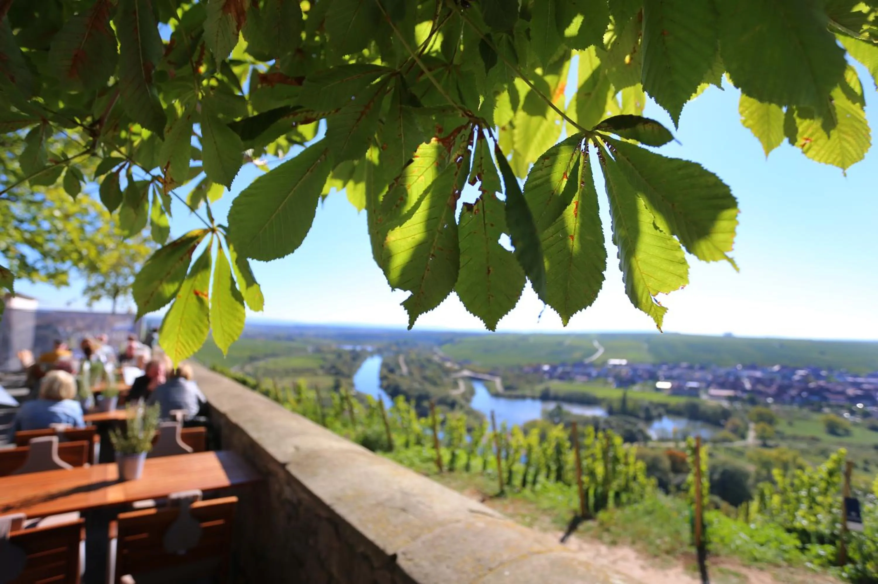 Restaurant/places to eat in Vogelsburg