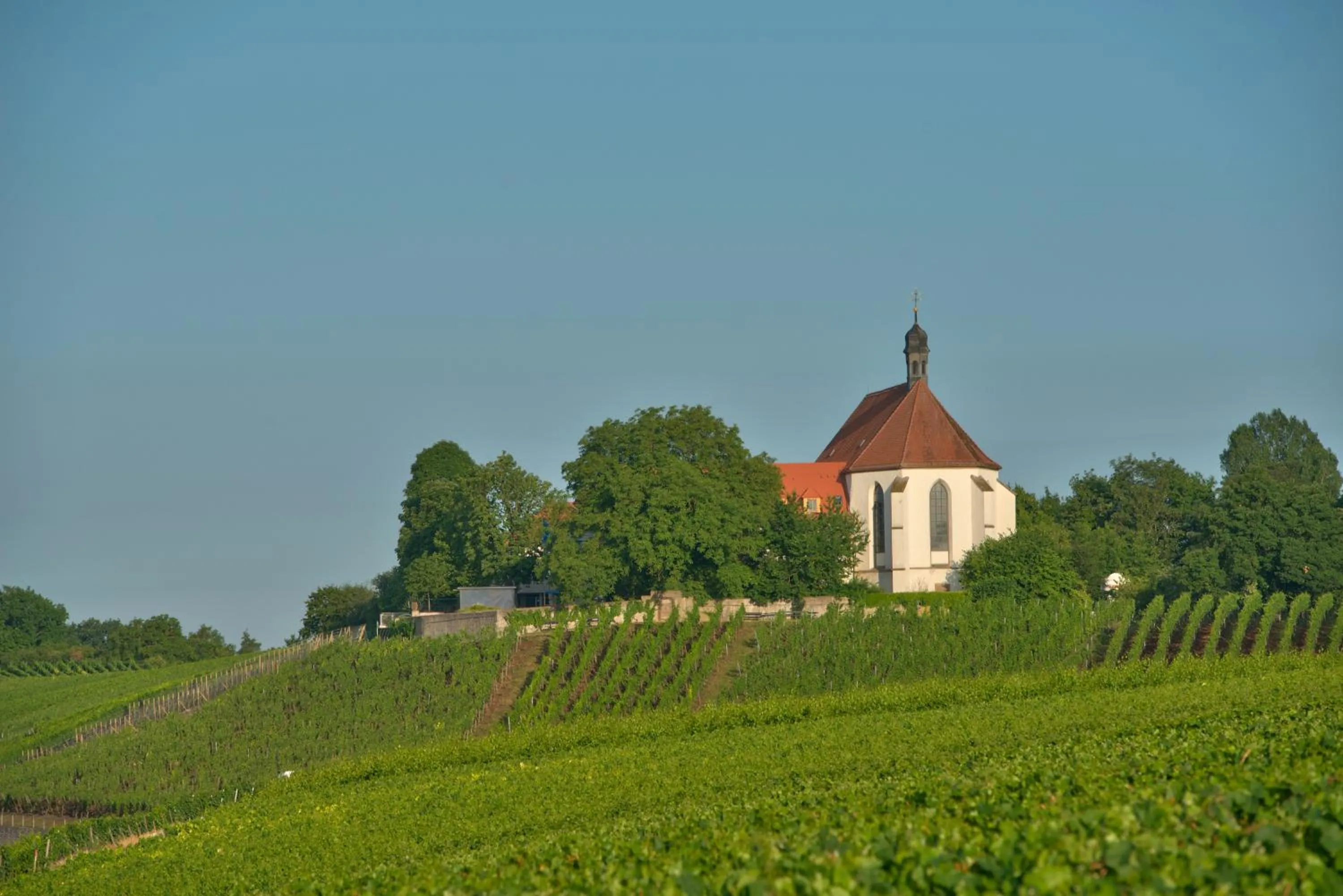 Property building in Vogelsburg
