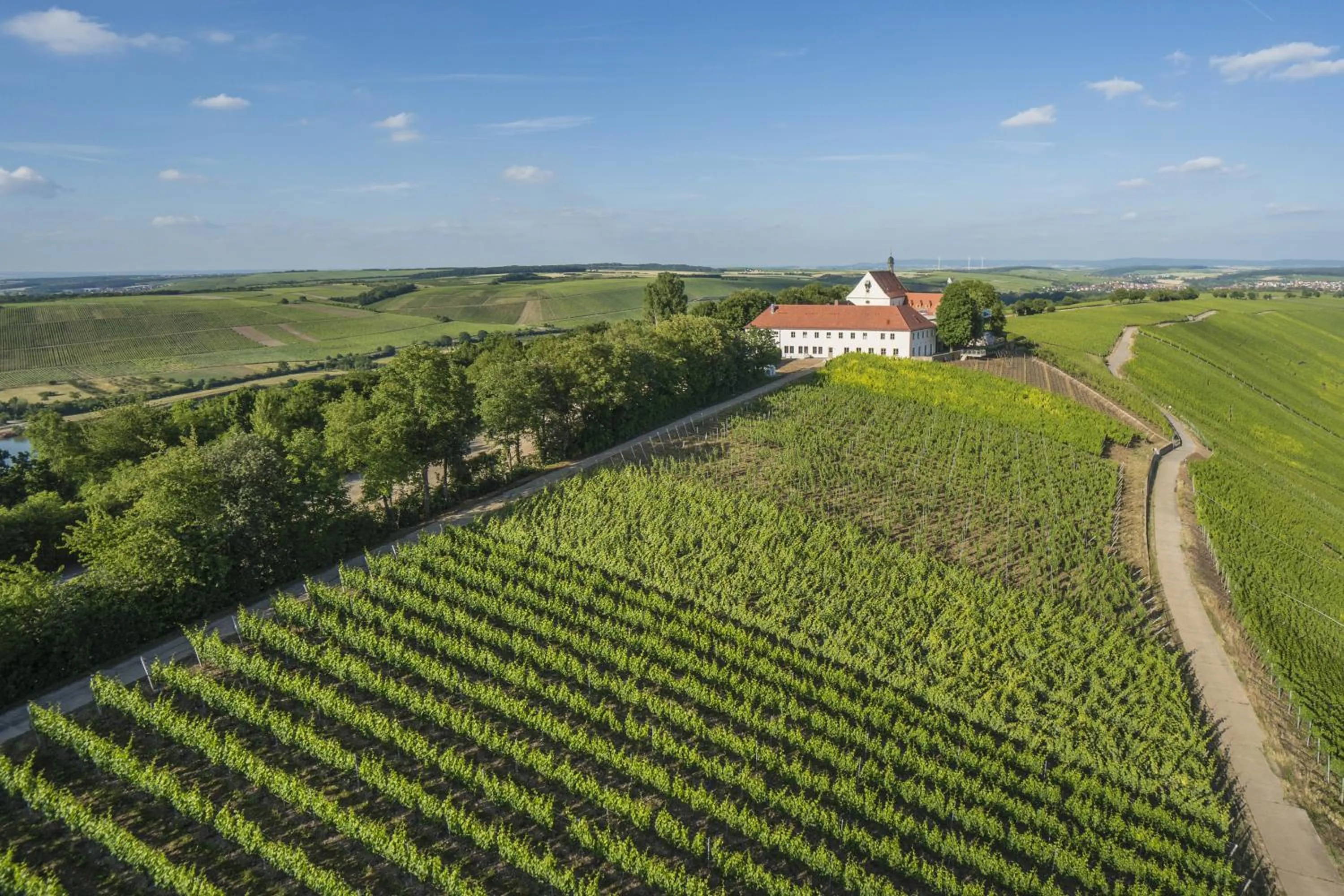 Bird's eye view in Vogelsburg