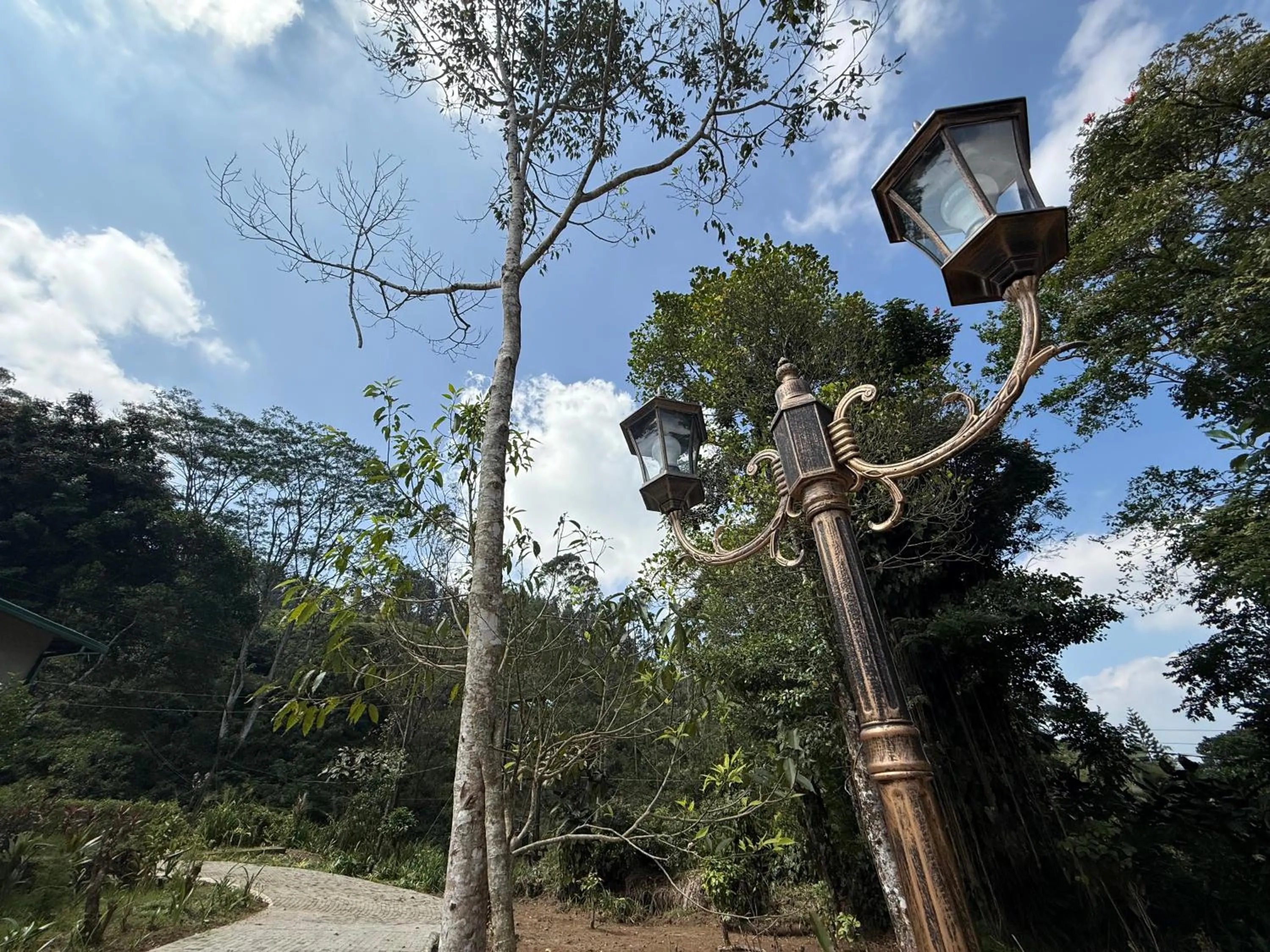 Natural landscape in Watawala Tea Plantation Bungalow